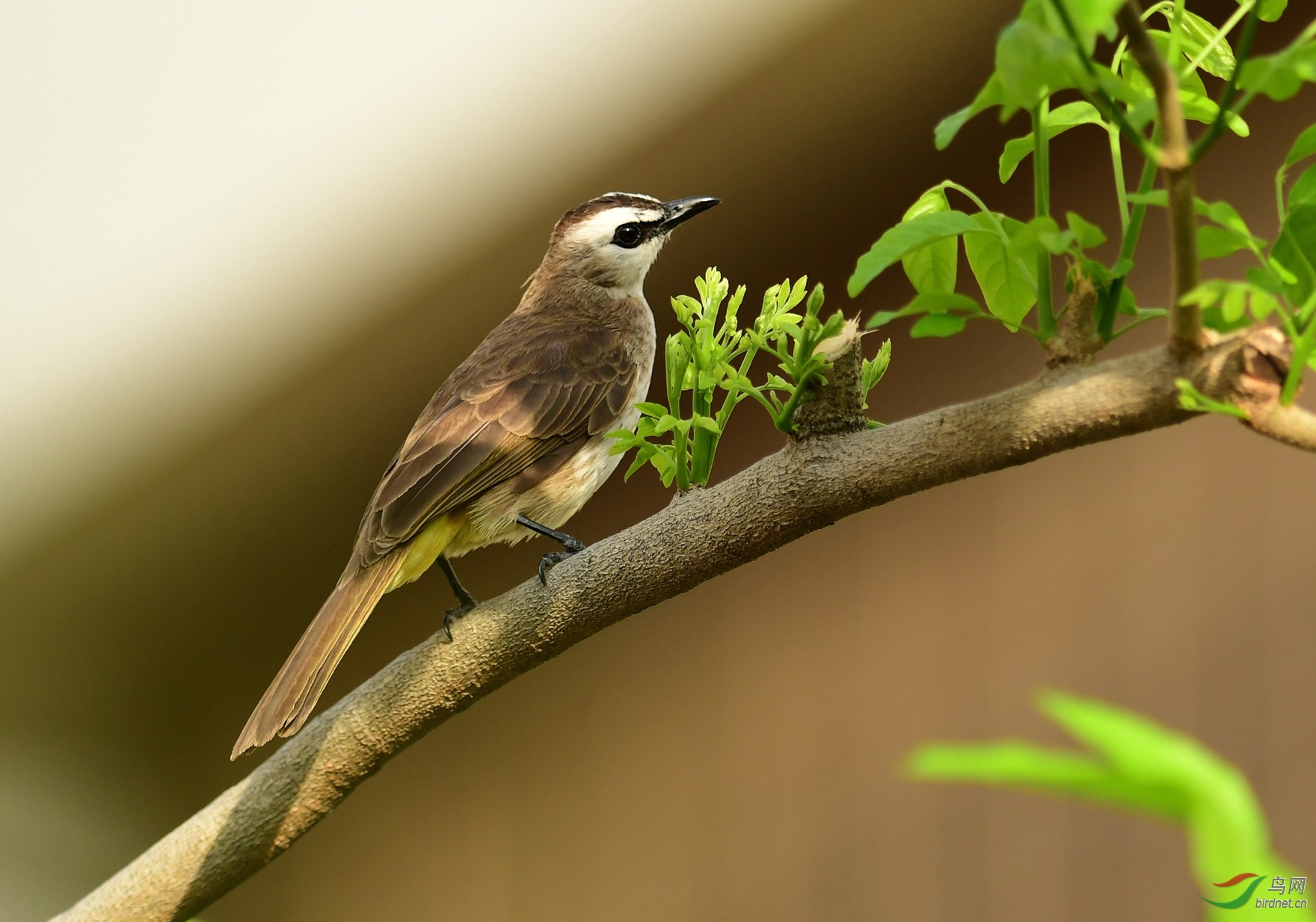 DSC_3397.JPG