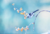 1 (29).JPG