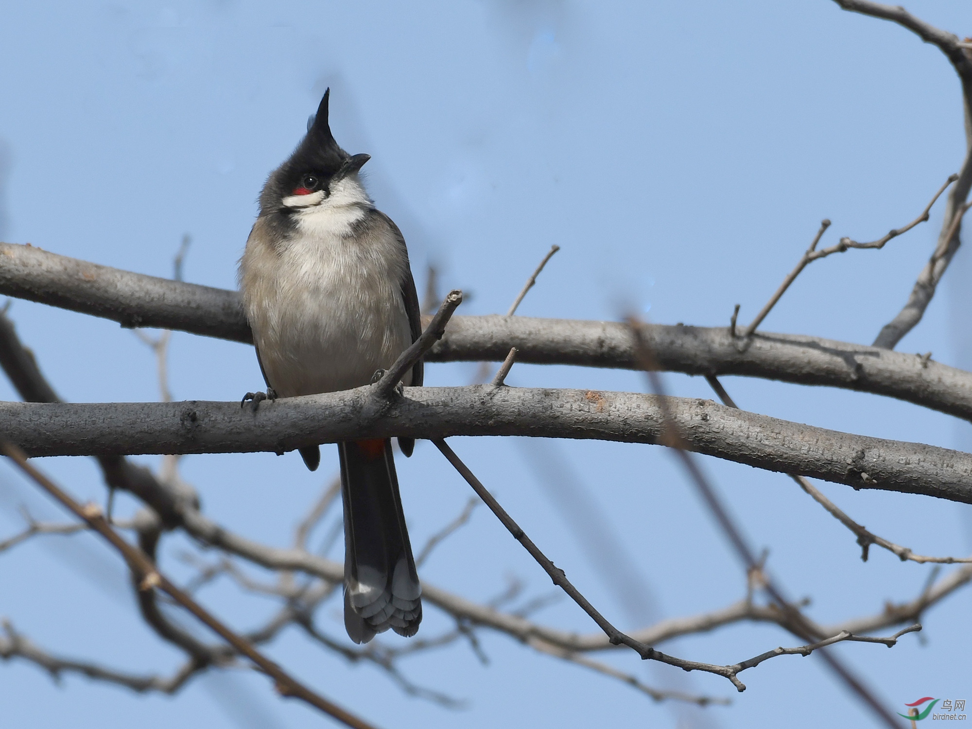 ������Ӱ 660����.jpg