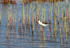 1 (67).JPG