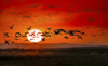 1 (119).JPG