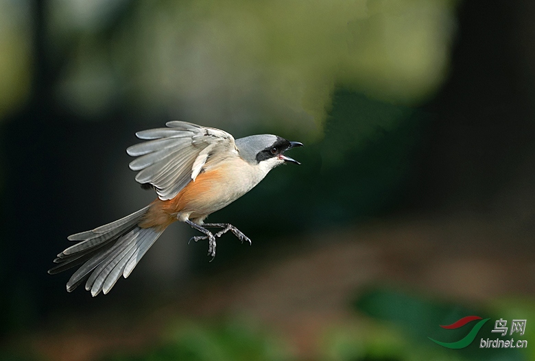 DSC01134---.jpg