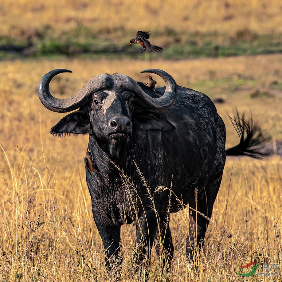 �����ڿ���������������