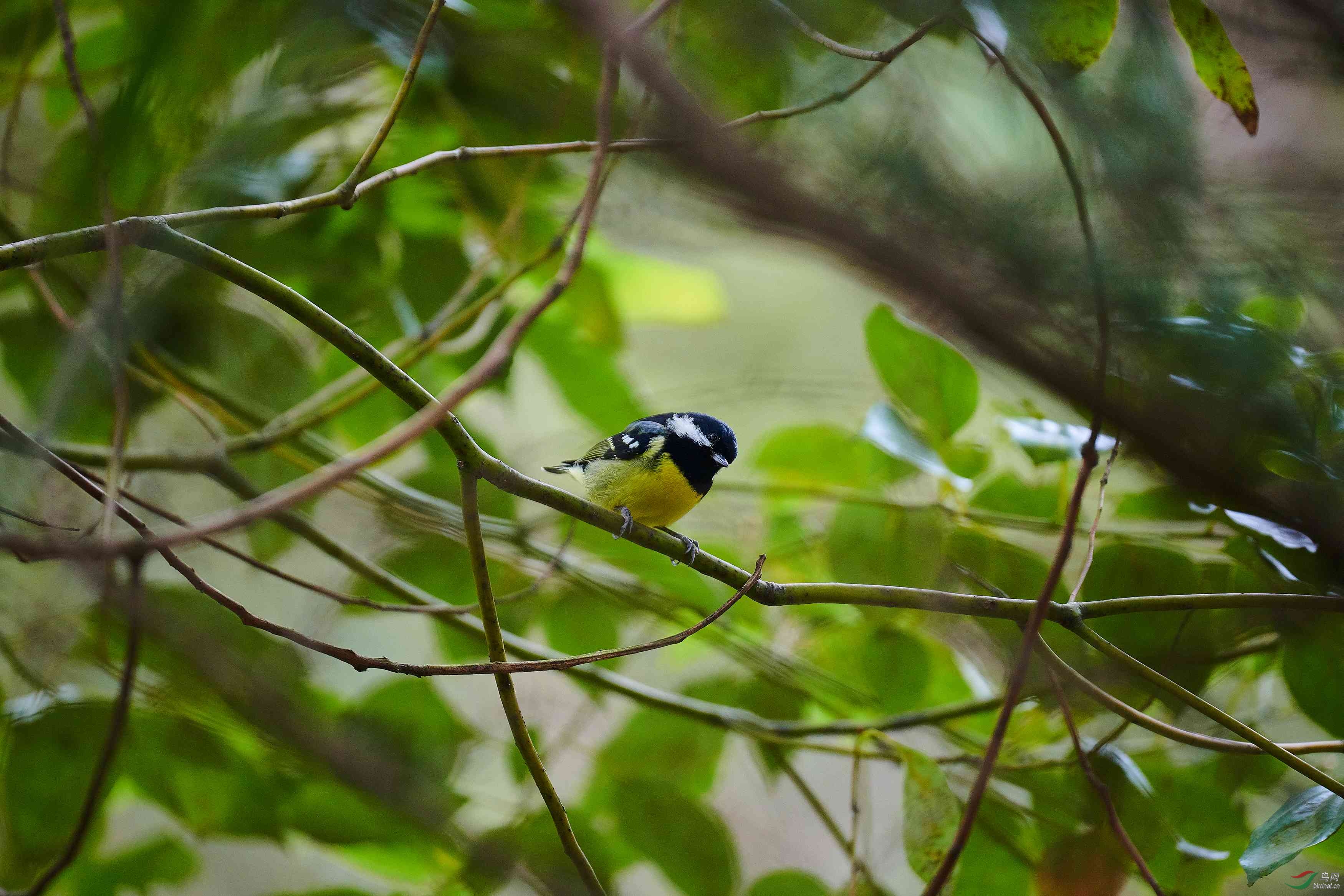 DSC_1068.jpg