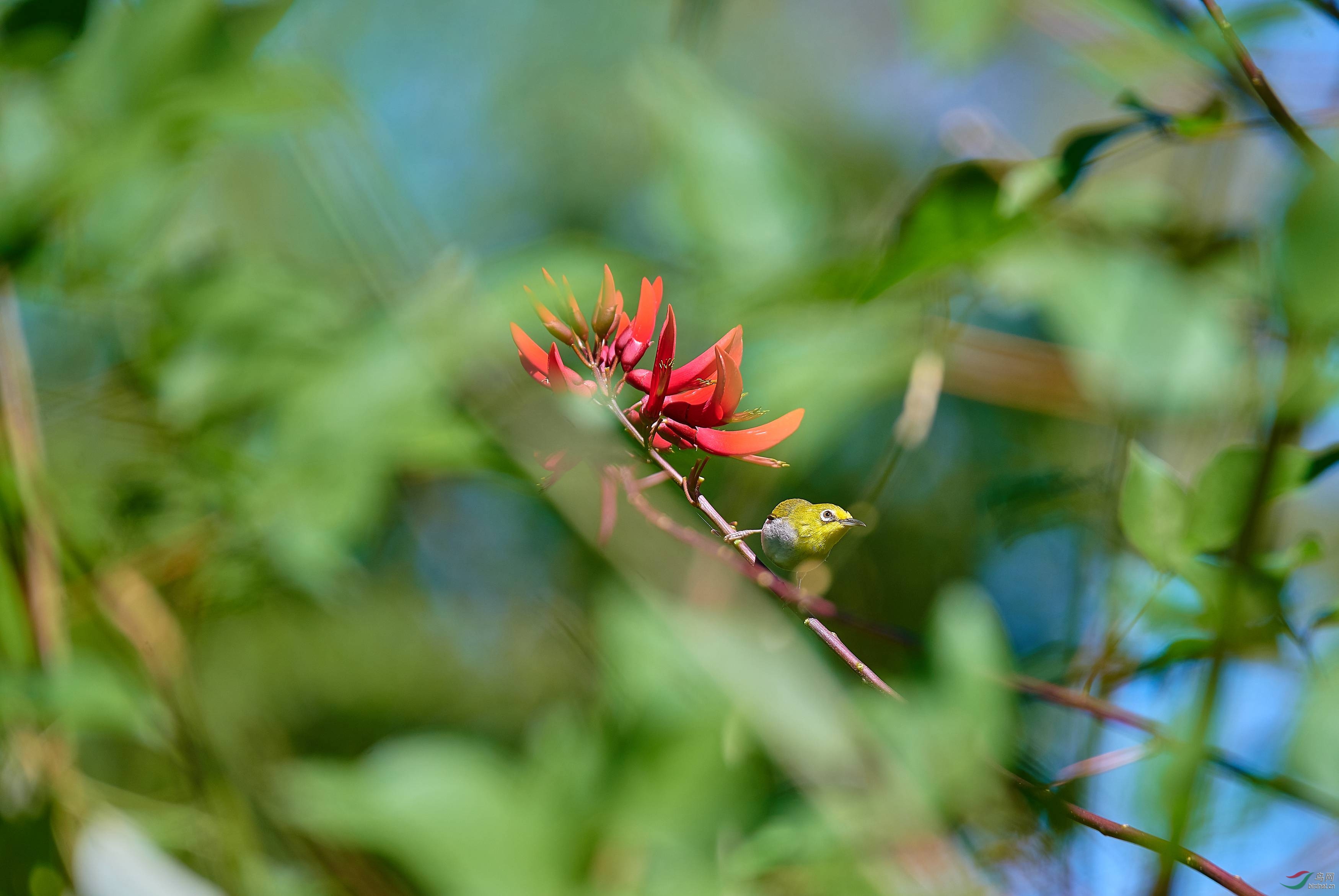 _DSC3264.jpg