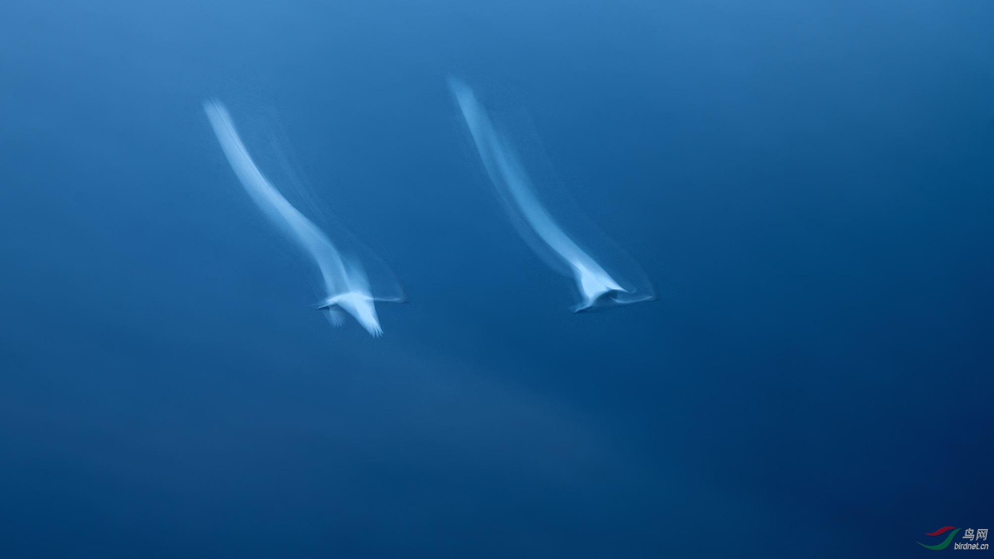 DSC_2583�ĸ��� 3_����Ұ� �ϴ�.jpg