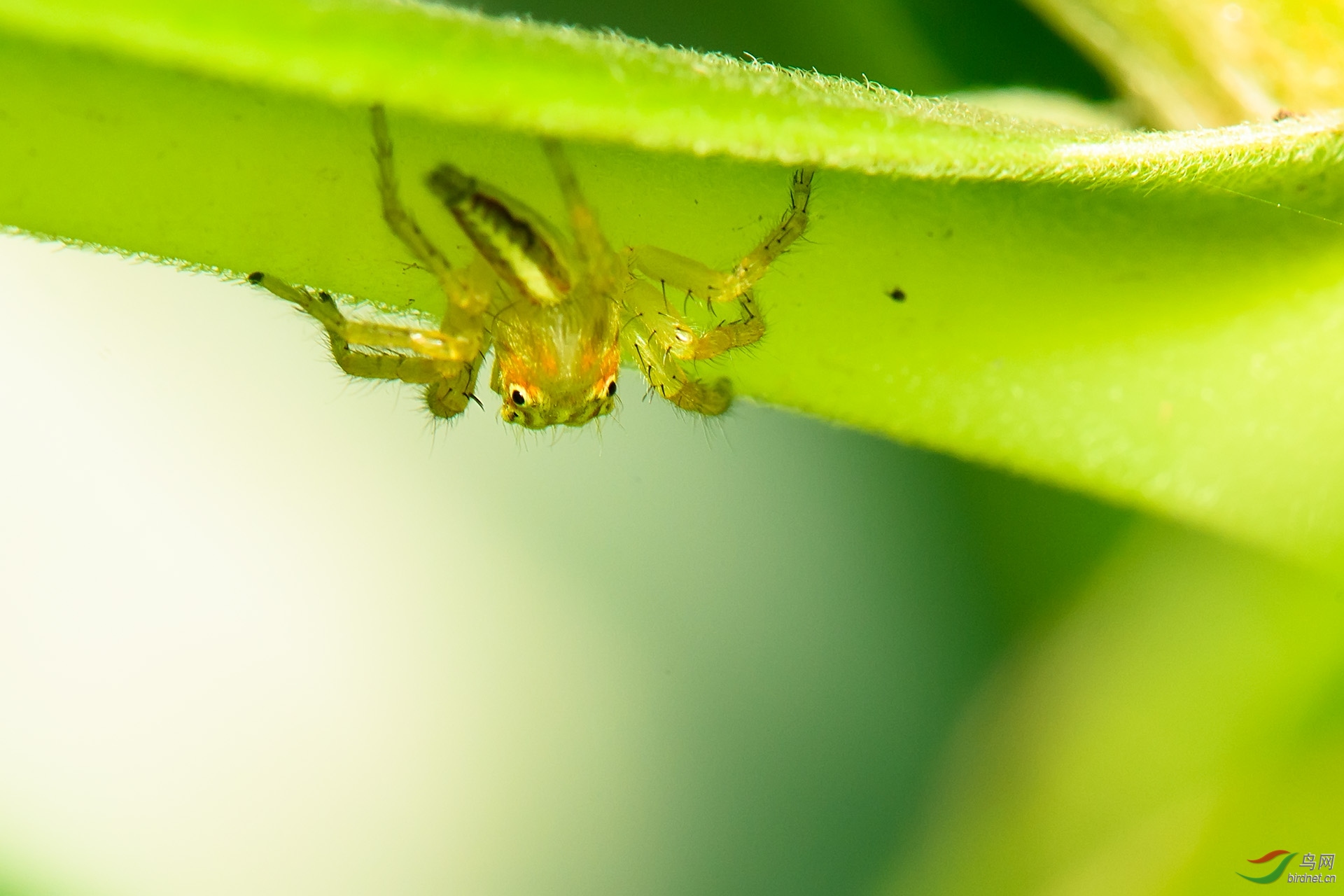 DSC_4953-x1.jpg