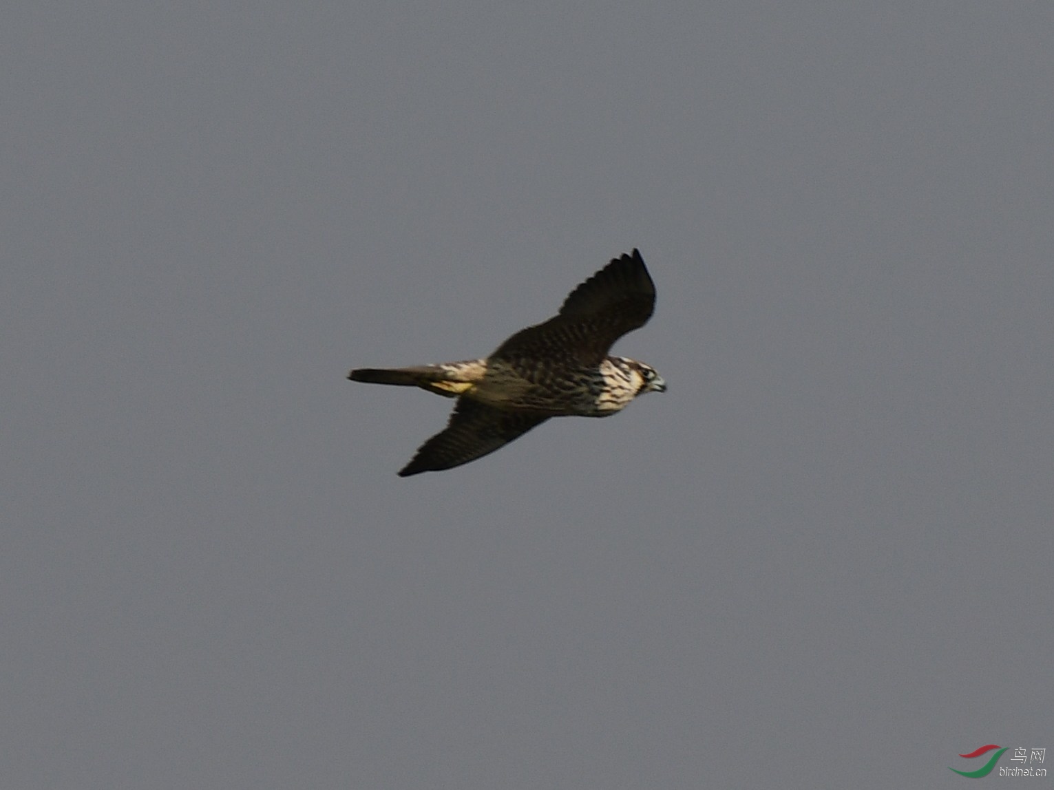 DSC_8842_����1.jpg
