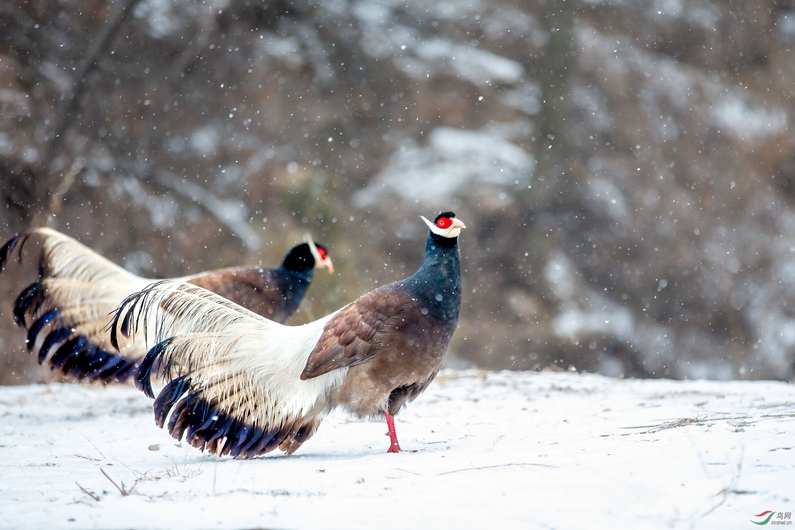 ������ (5).JPG