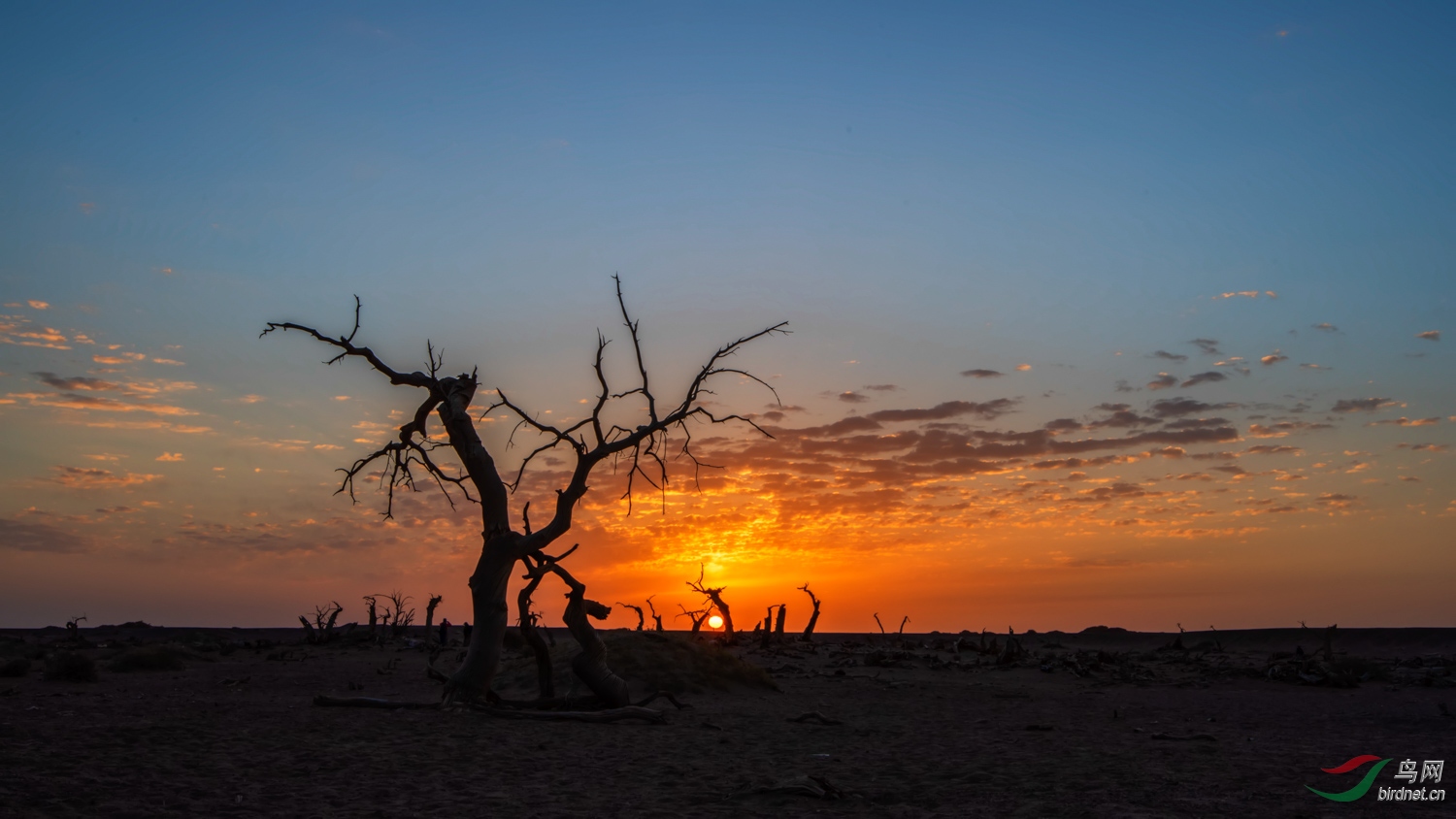 DSC_3494_1.jpg