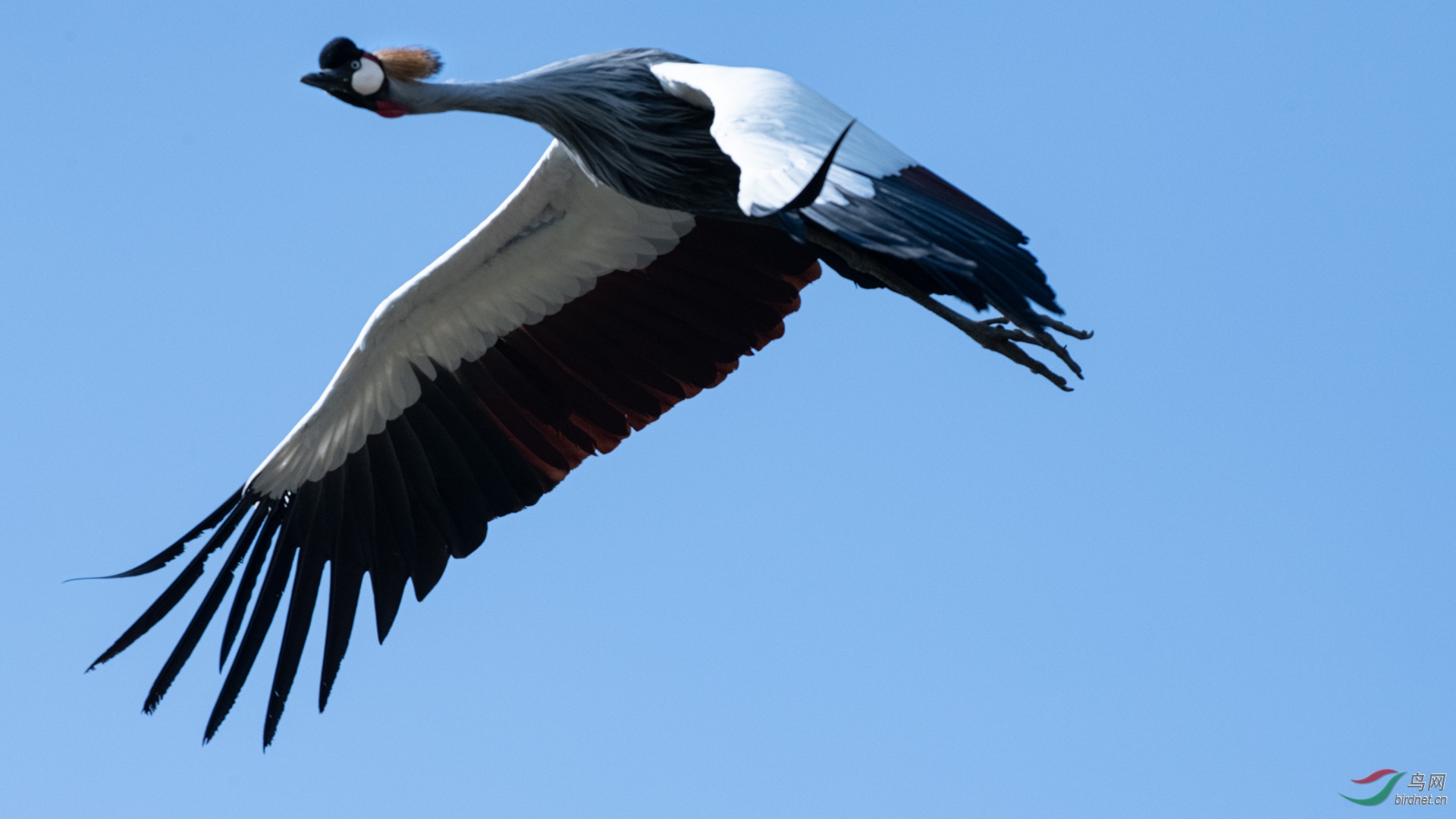 DSC_6558_1.JPG
