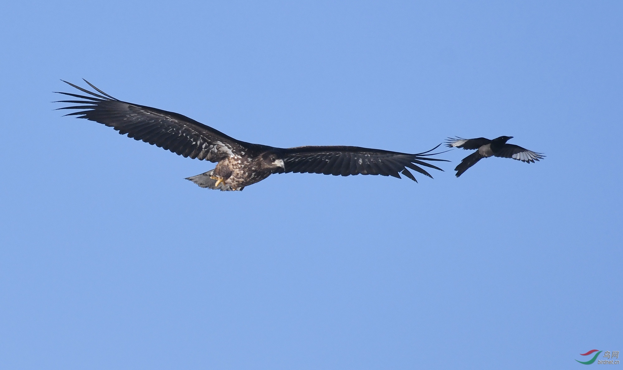 ������Ӱ 059����.jpg