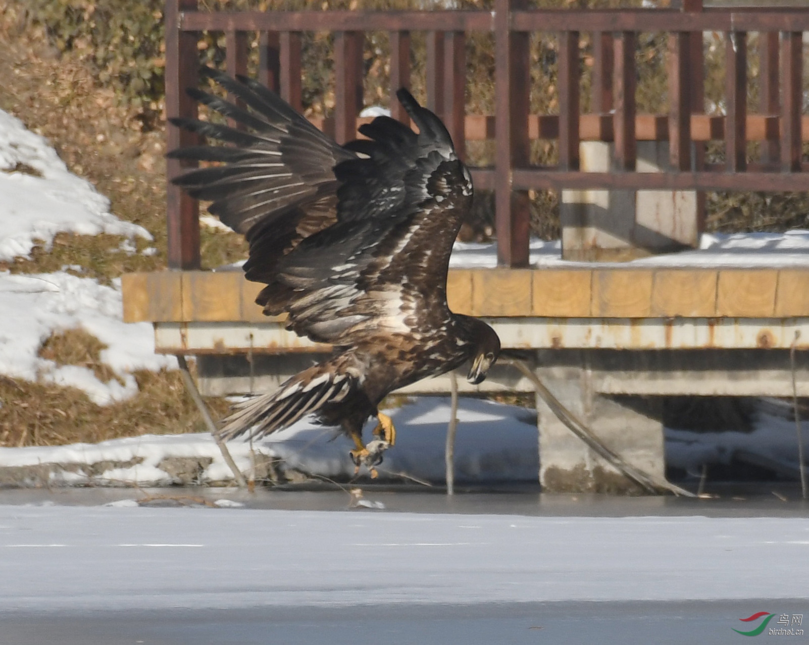 ������Ӱ 171����.jpg