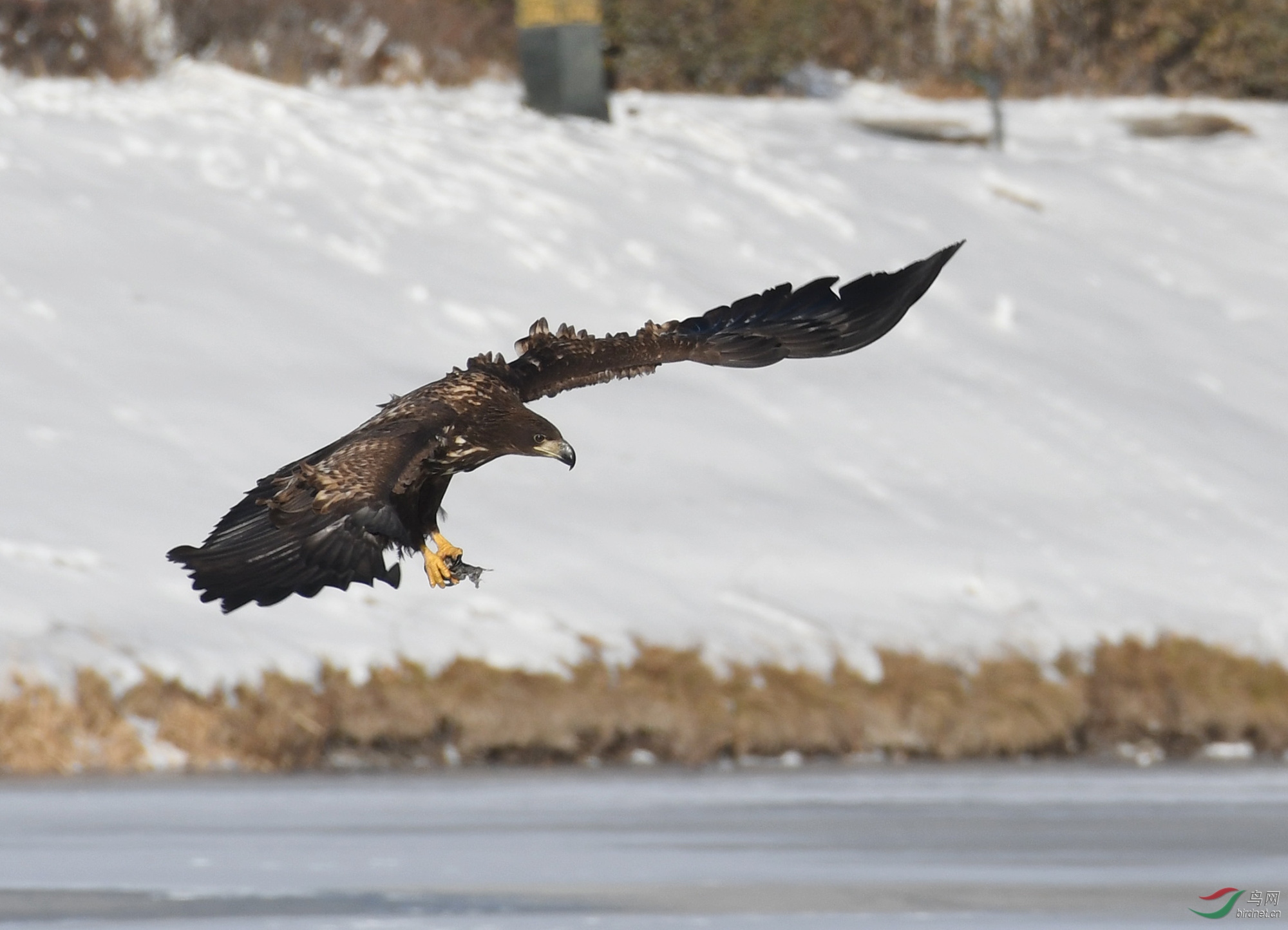 ������Ӱ 223����.jpg