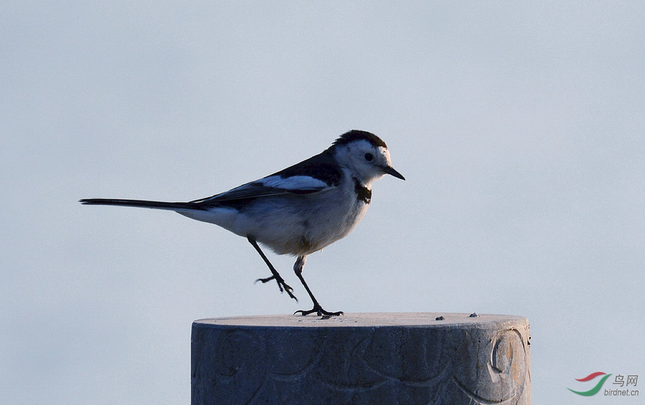 DSC_6170.JPG