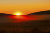 1 (142).JPG