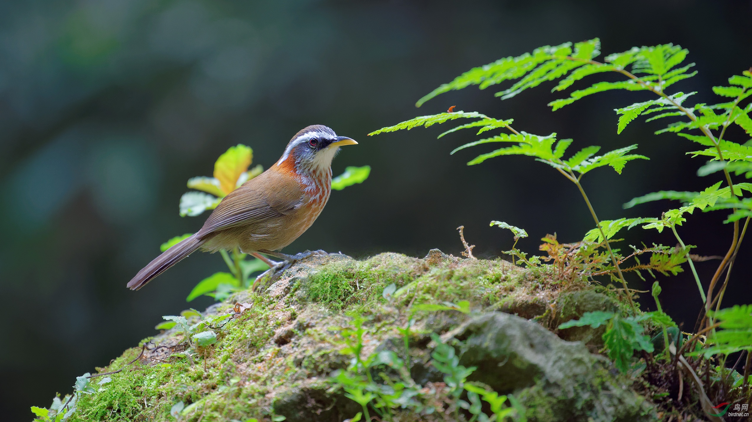 DSC_5795_DxO.jpg