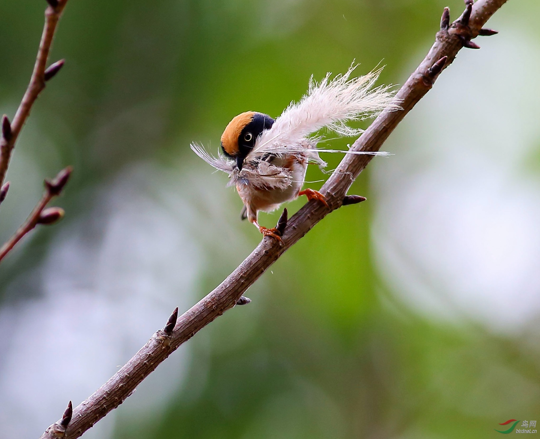 2017-03-13 11-48-44 (2).JPG