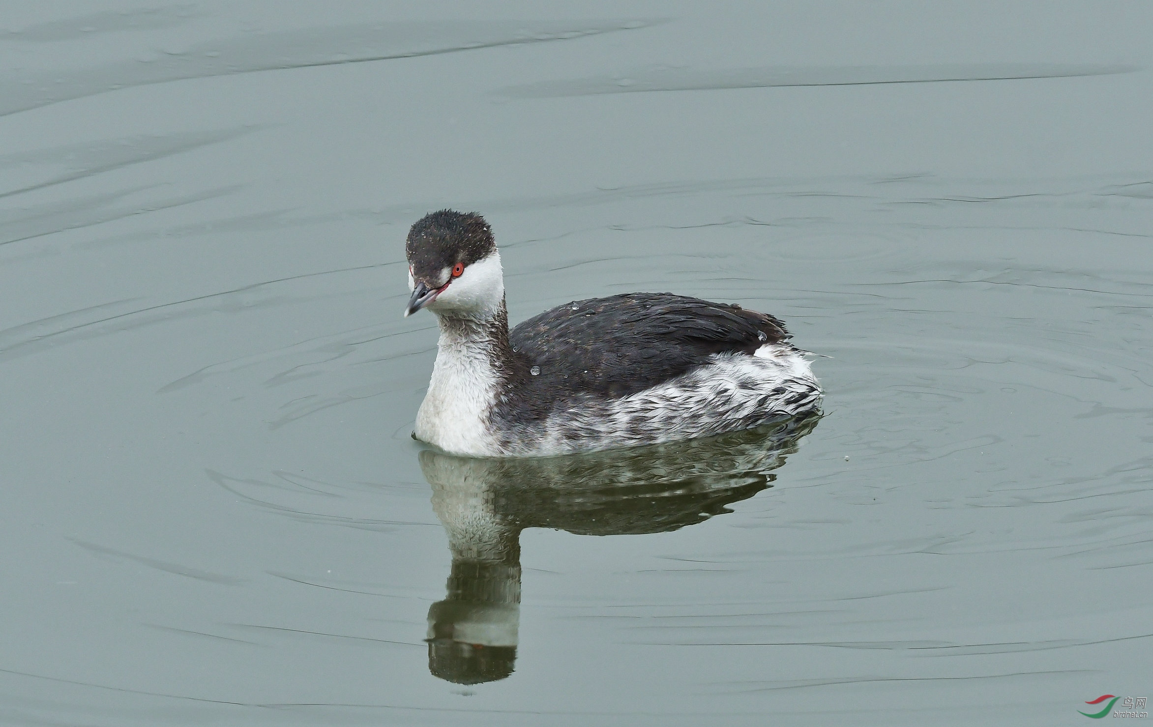 DSC_2843.JPG