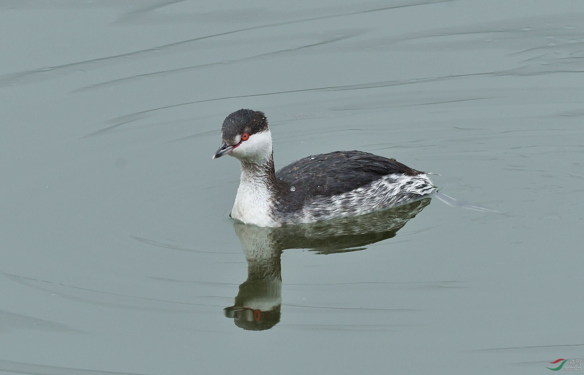 DSC_2859.JPG
