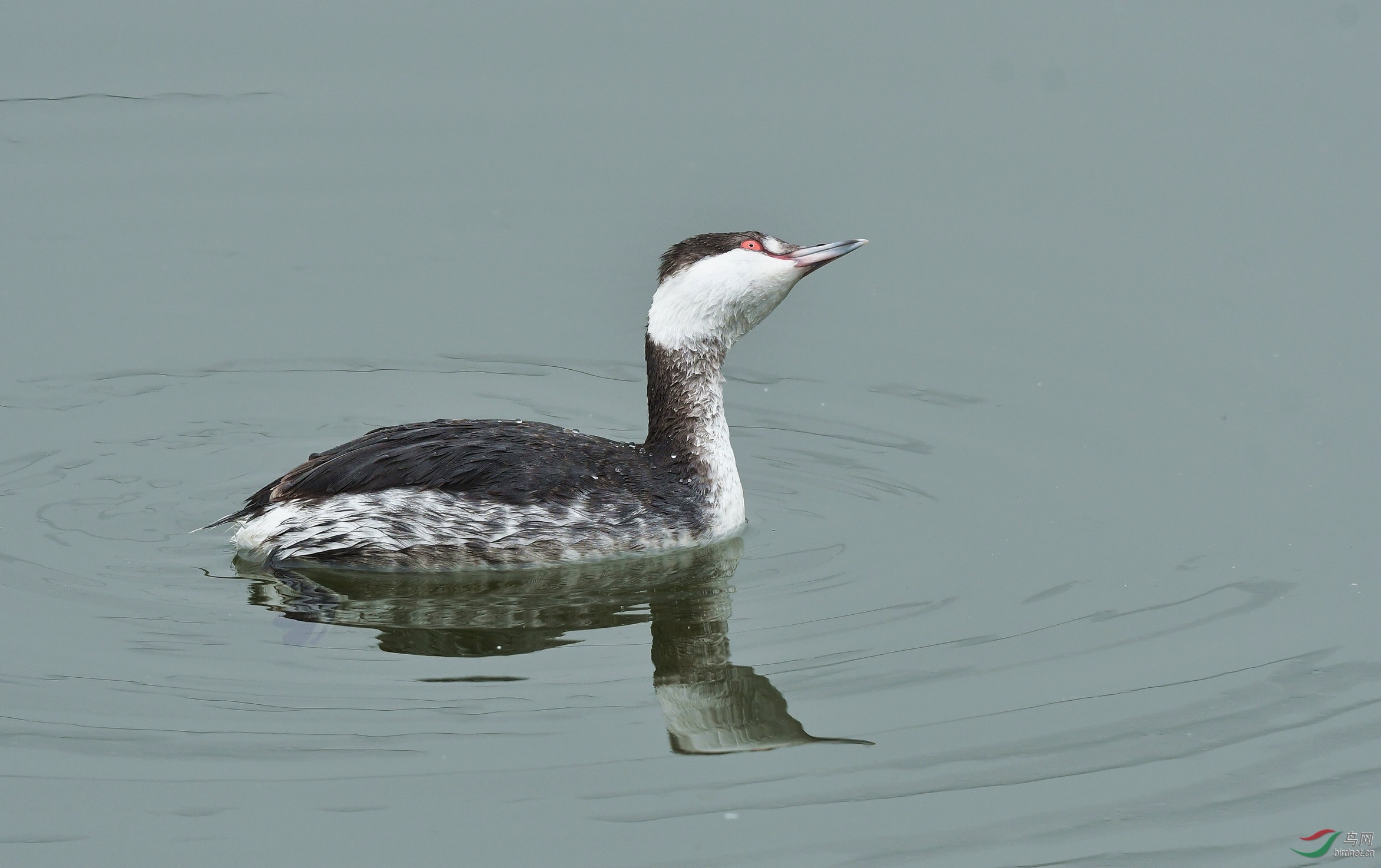DSC_2900.JPG