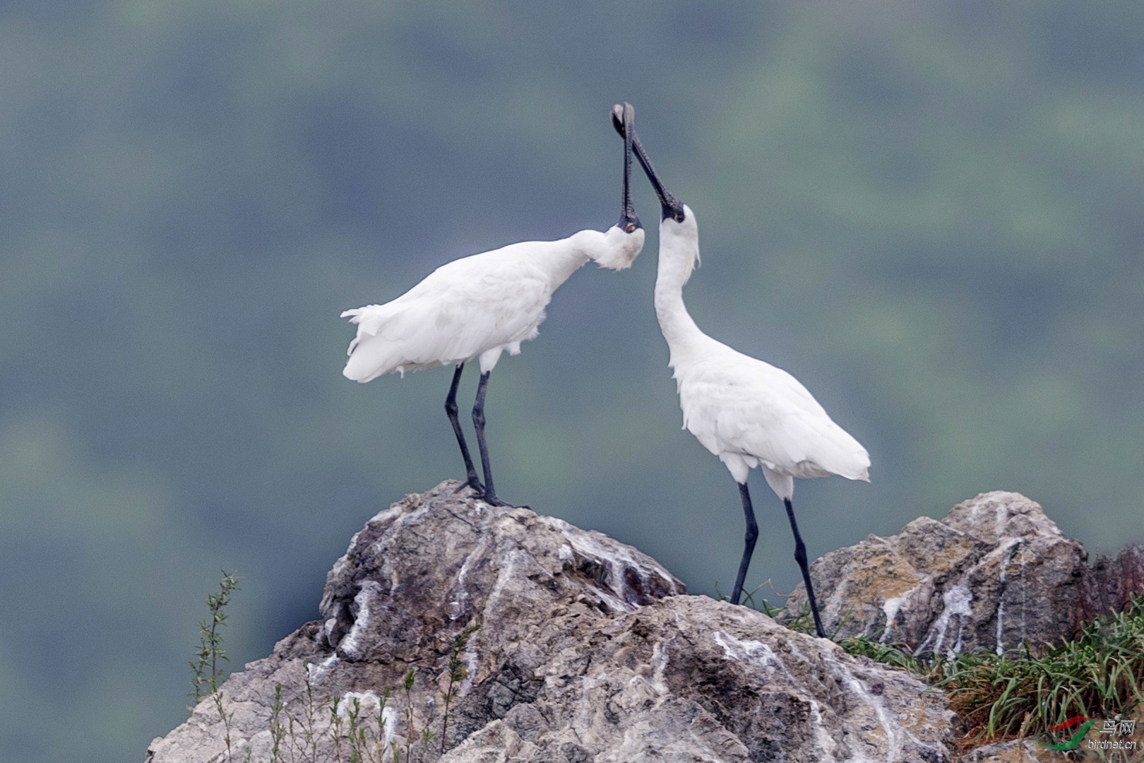 _K8I0976   ��������.jpg