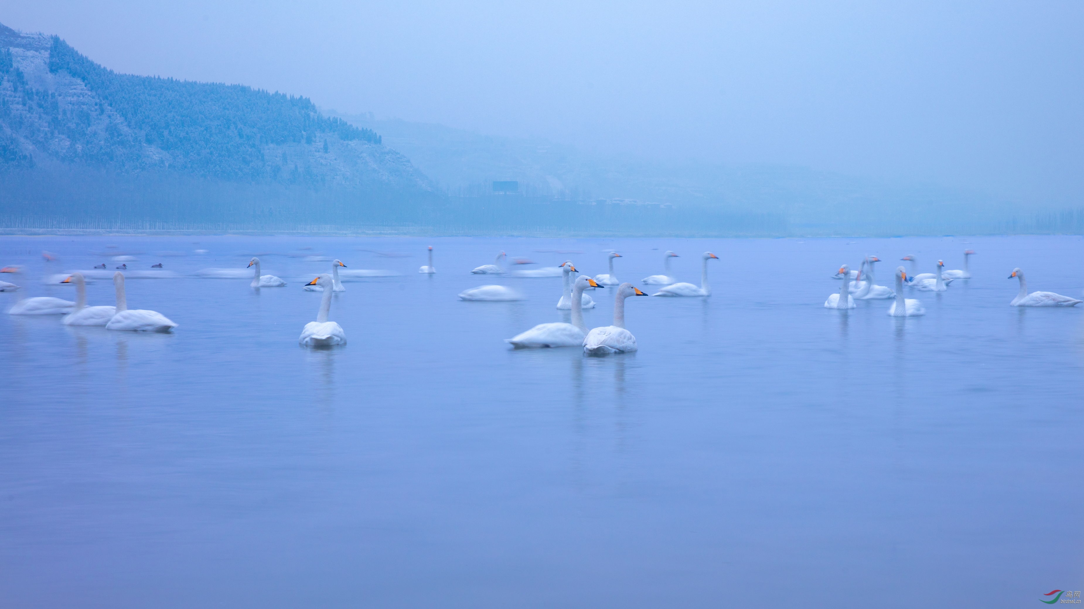 ���� (2).JPG