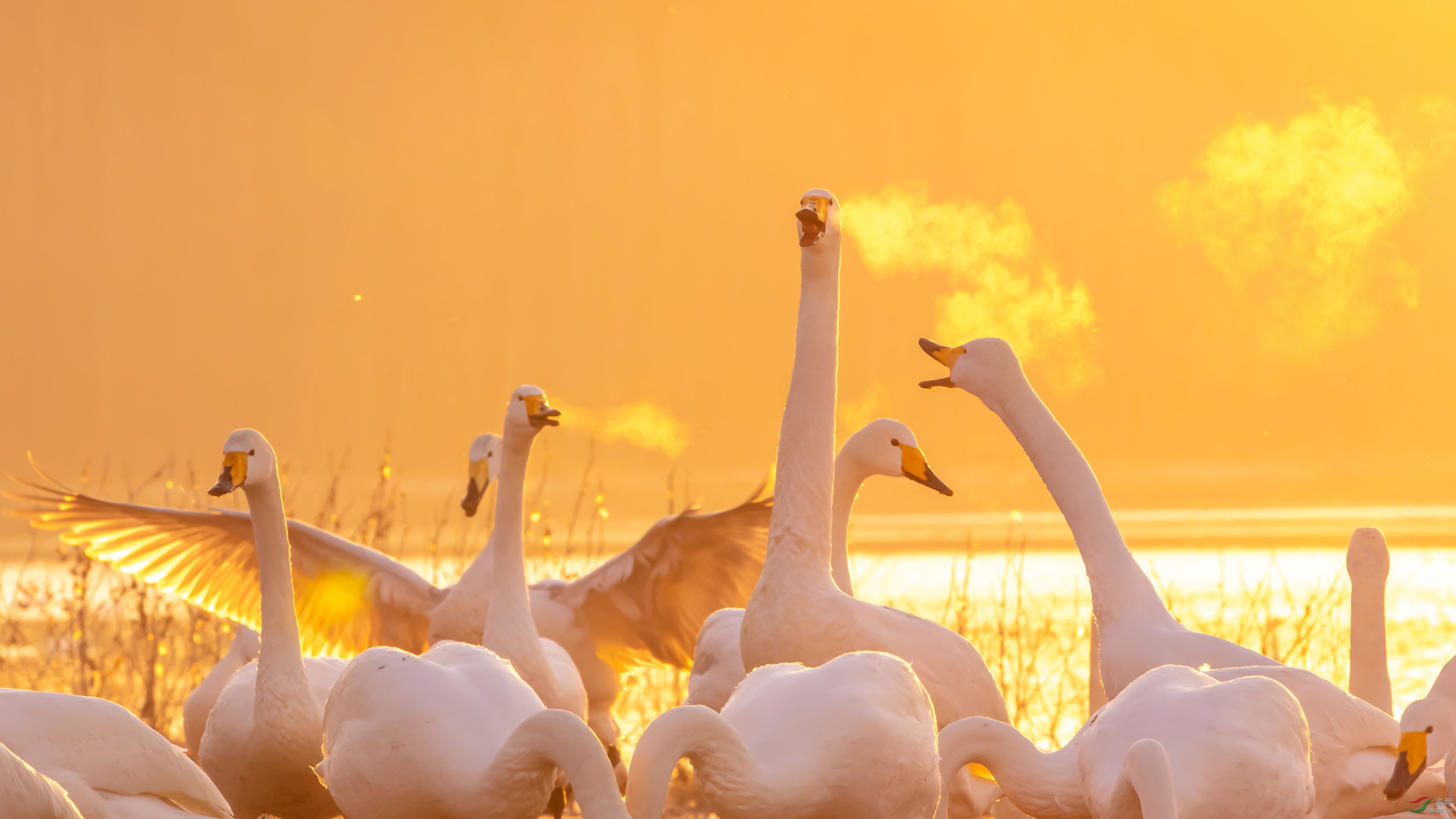 ���� (3).JPG