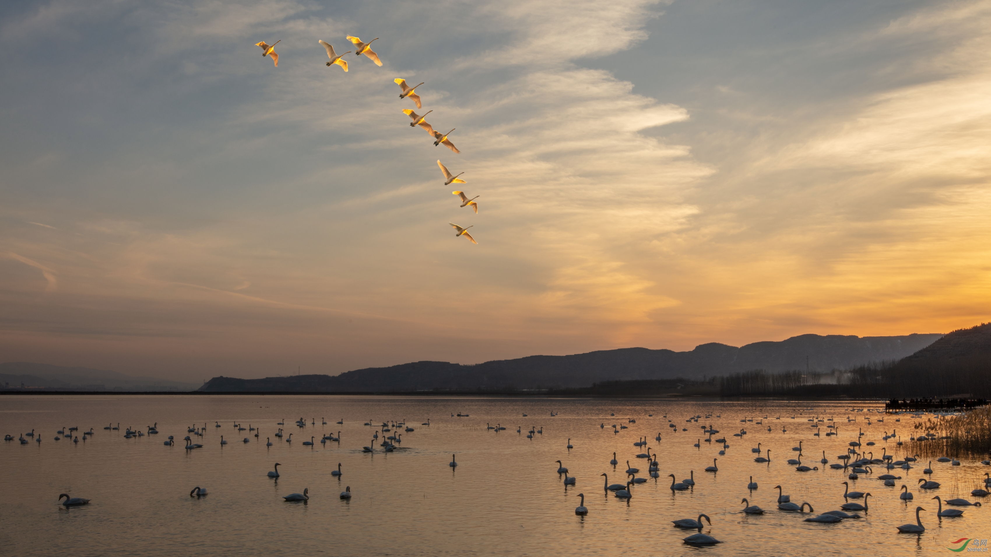 ���� (4).JPG