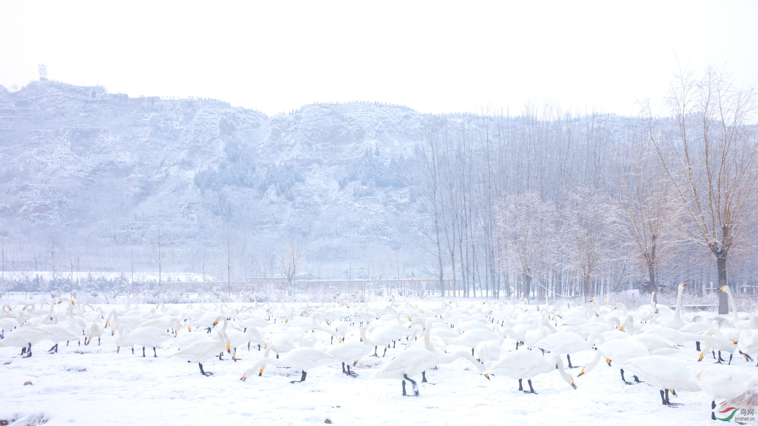 ���� (6).JPG