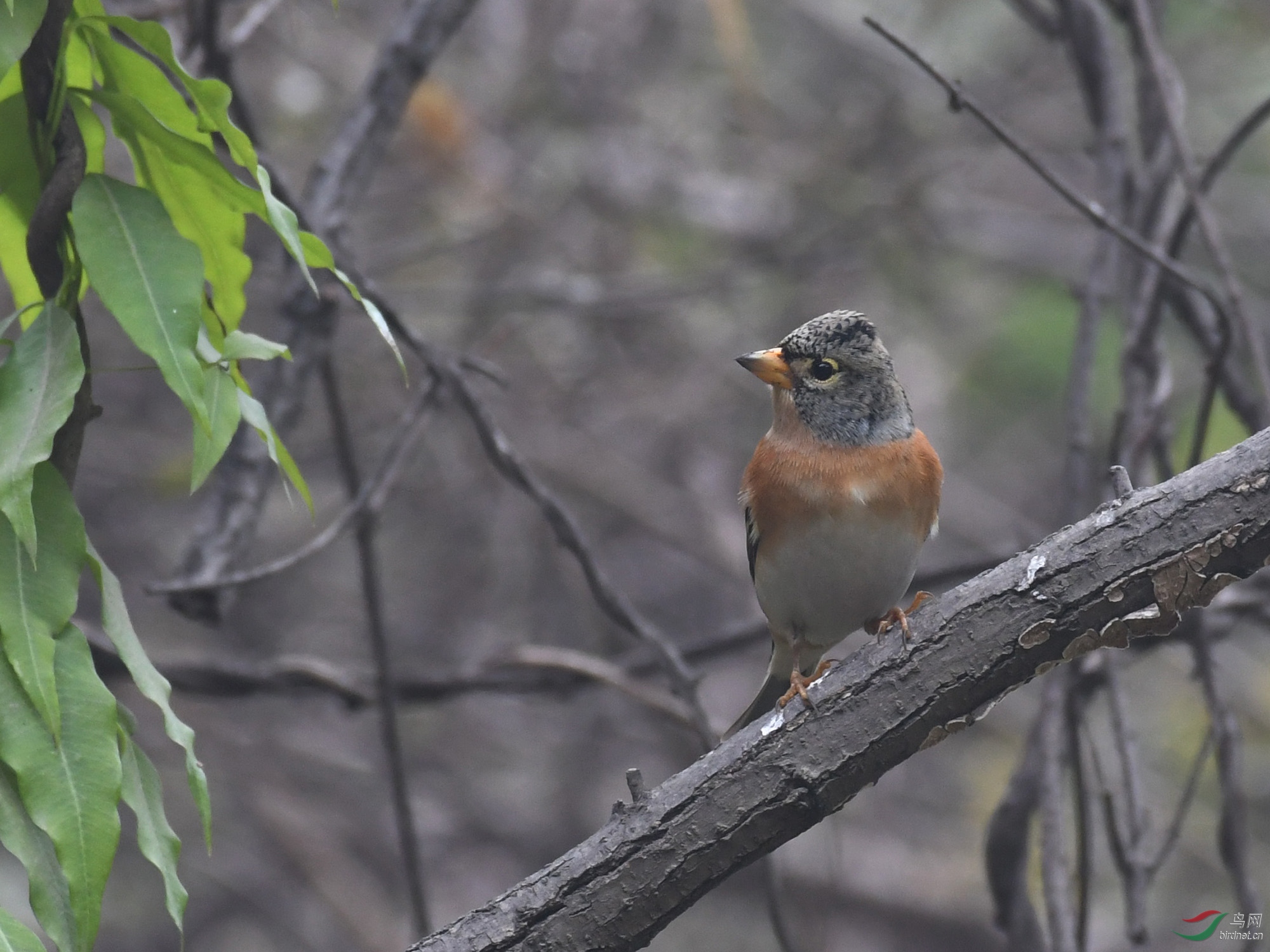 ������Ӱ 008����.jpg