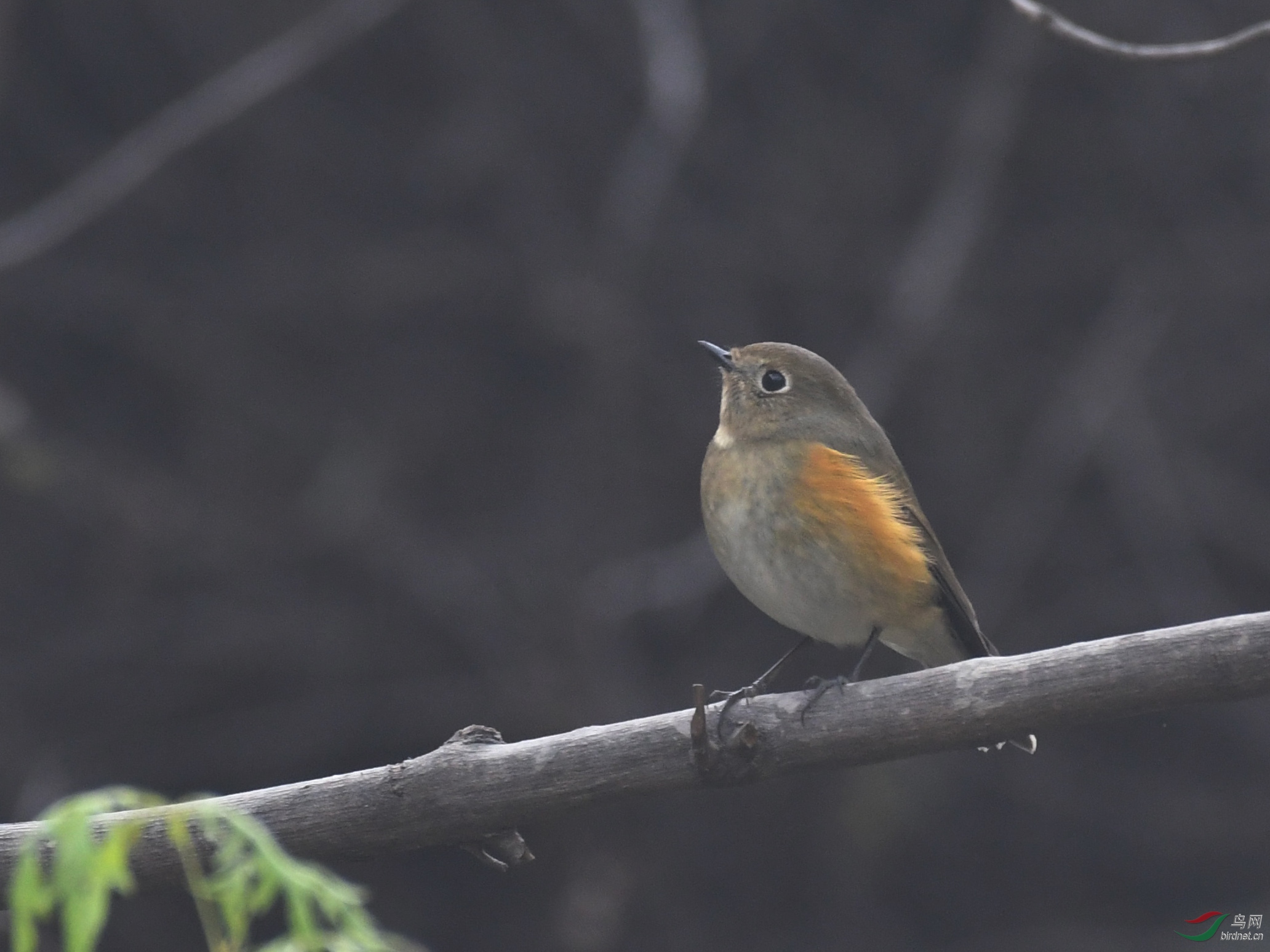 ������Ӱ 052����.jpg