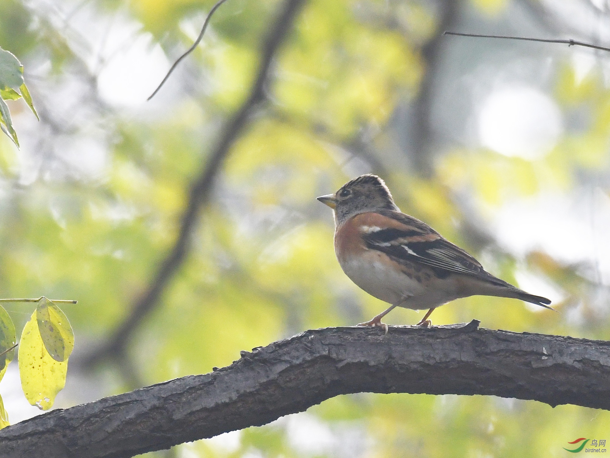 ������Ӱ 110����.jpg