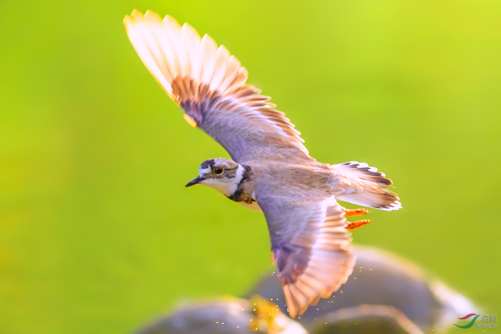 DSC_6050С.jpg