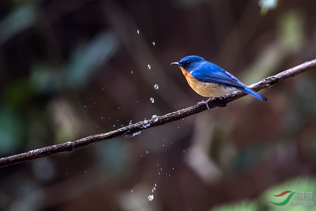 yj180225_2509_DxO ����.jpg