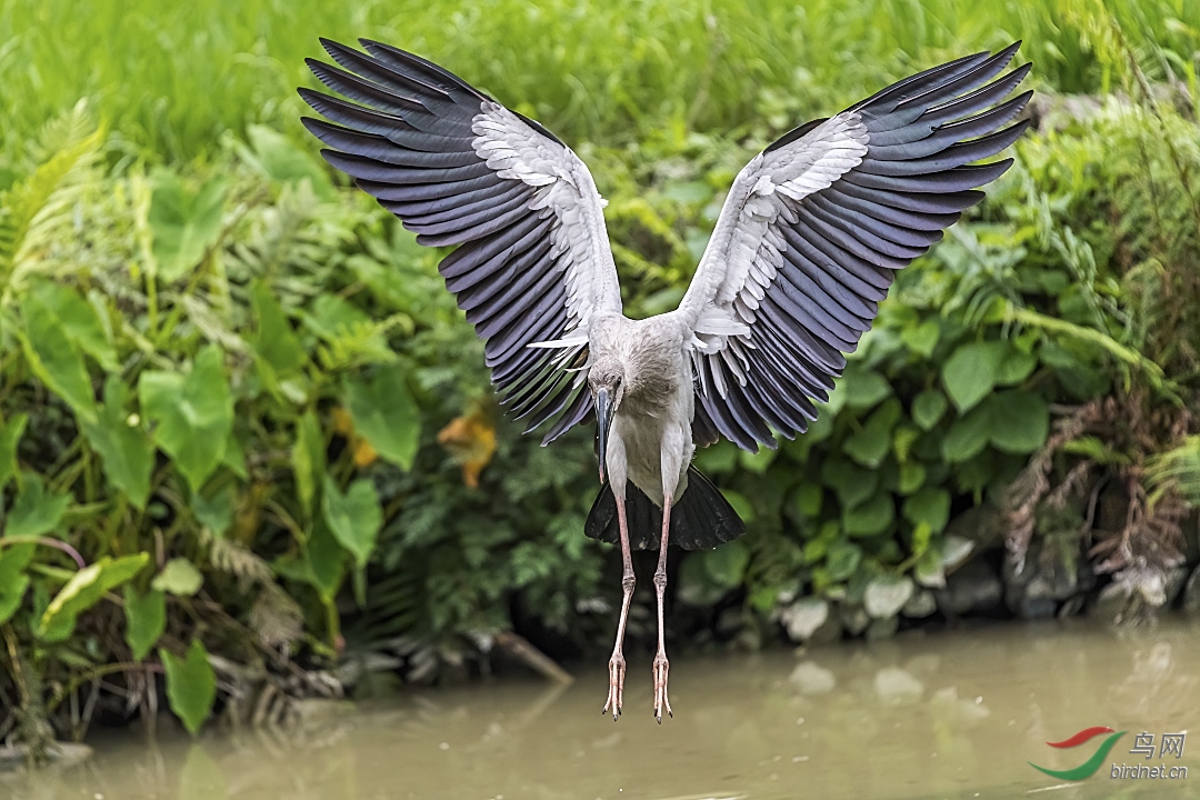 DSC_1074-ǯ���� 2019-5-12 (3).jpg