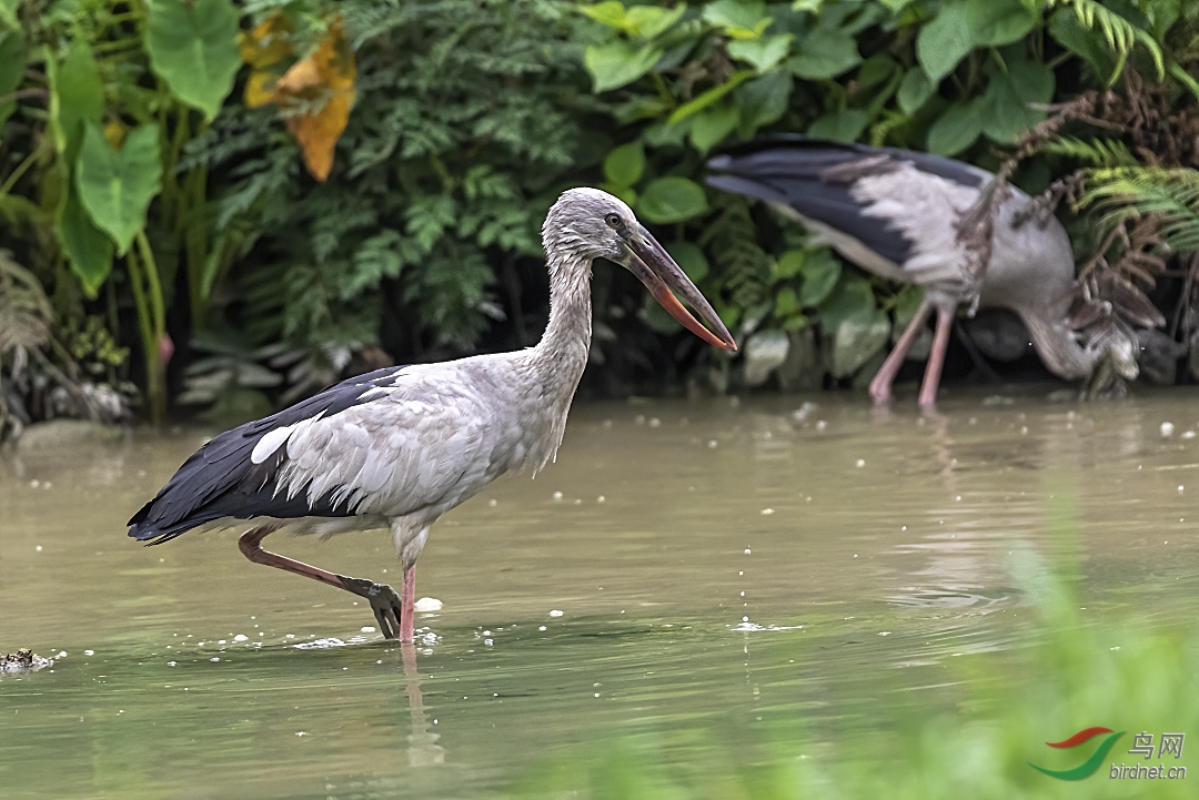 DSC_1074-ǯ���� 2019-5-12 (2).jpg