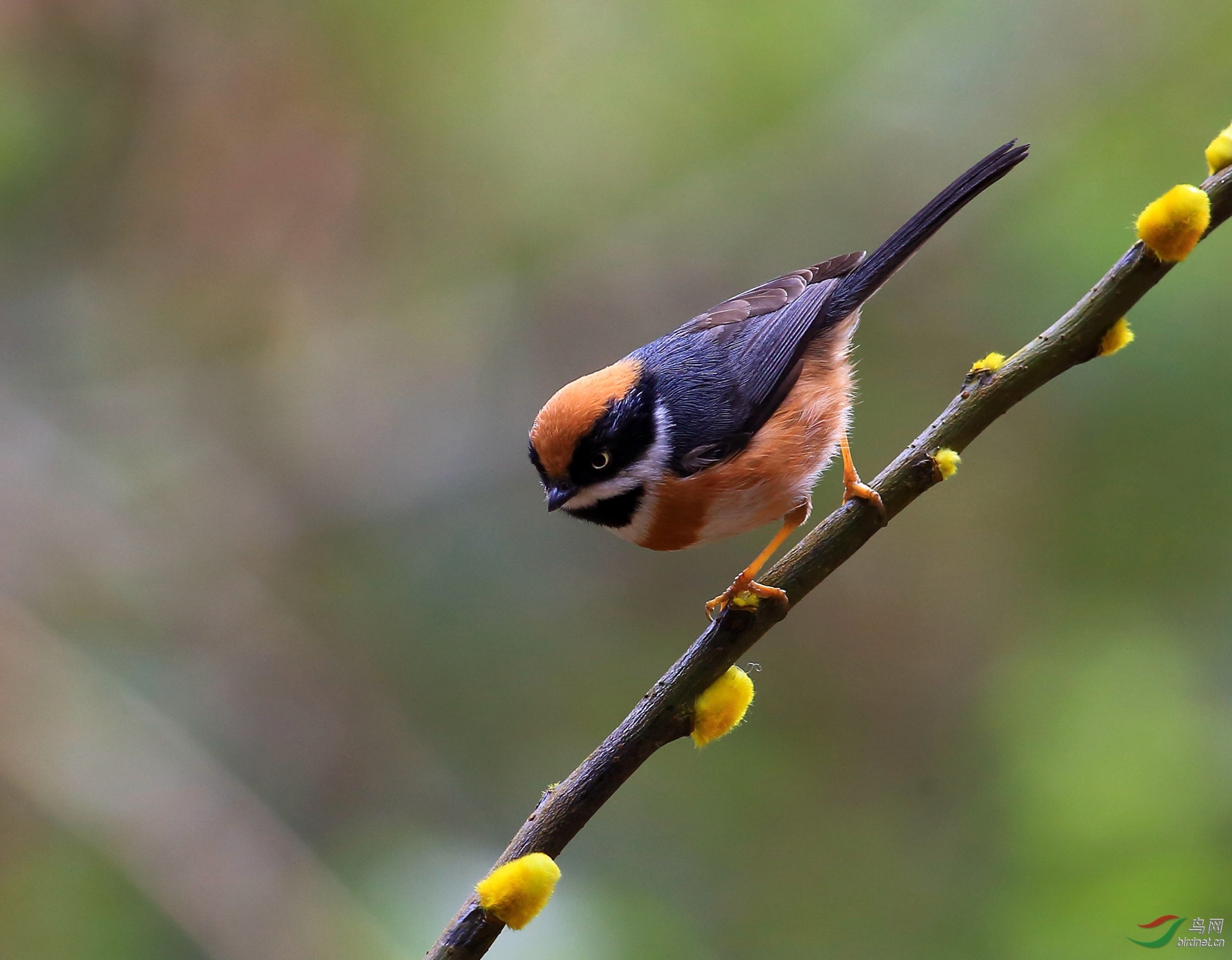 2020-01-19 14-09-14 (2).JPG