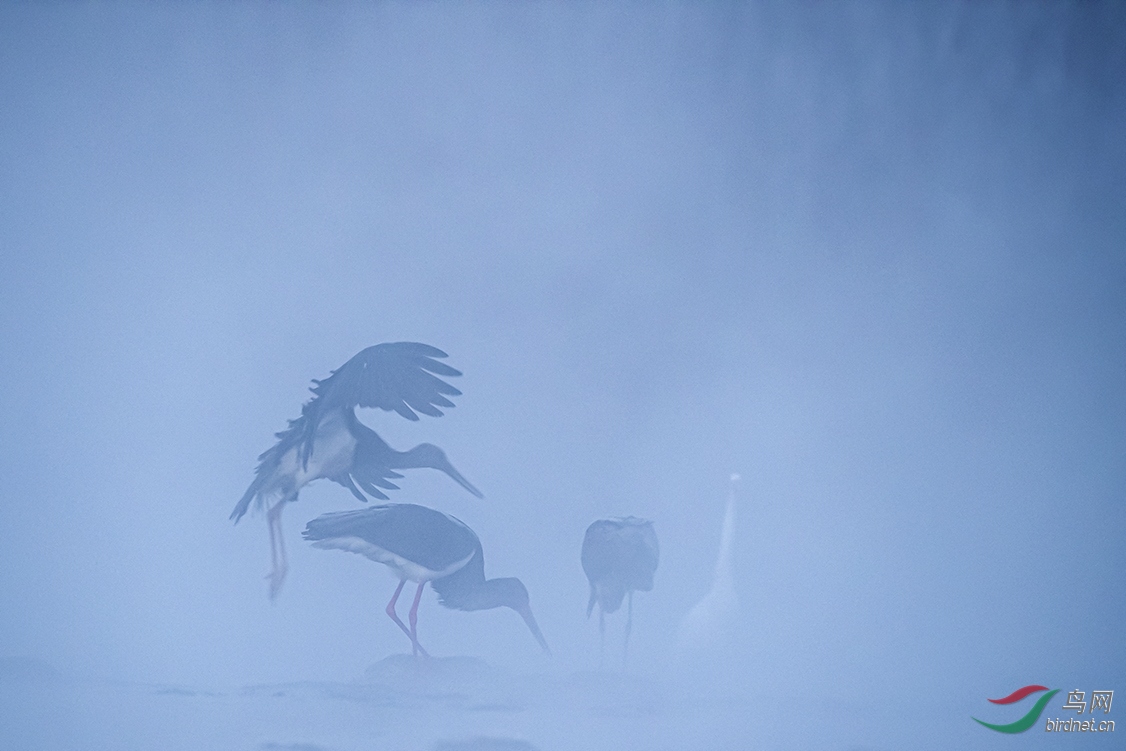 ������ʯ��ׯ������ұ�ӡ�