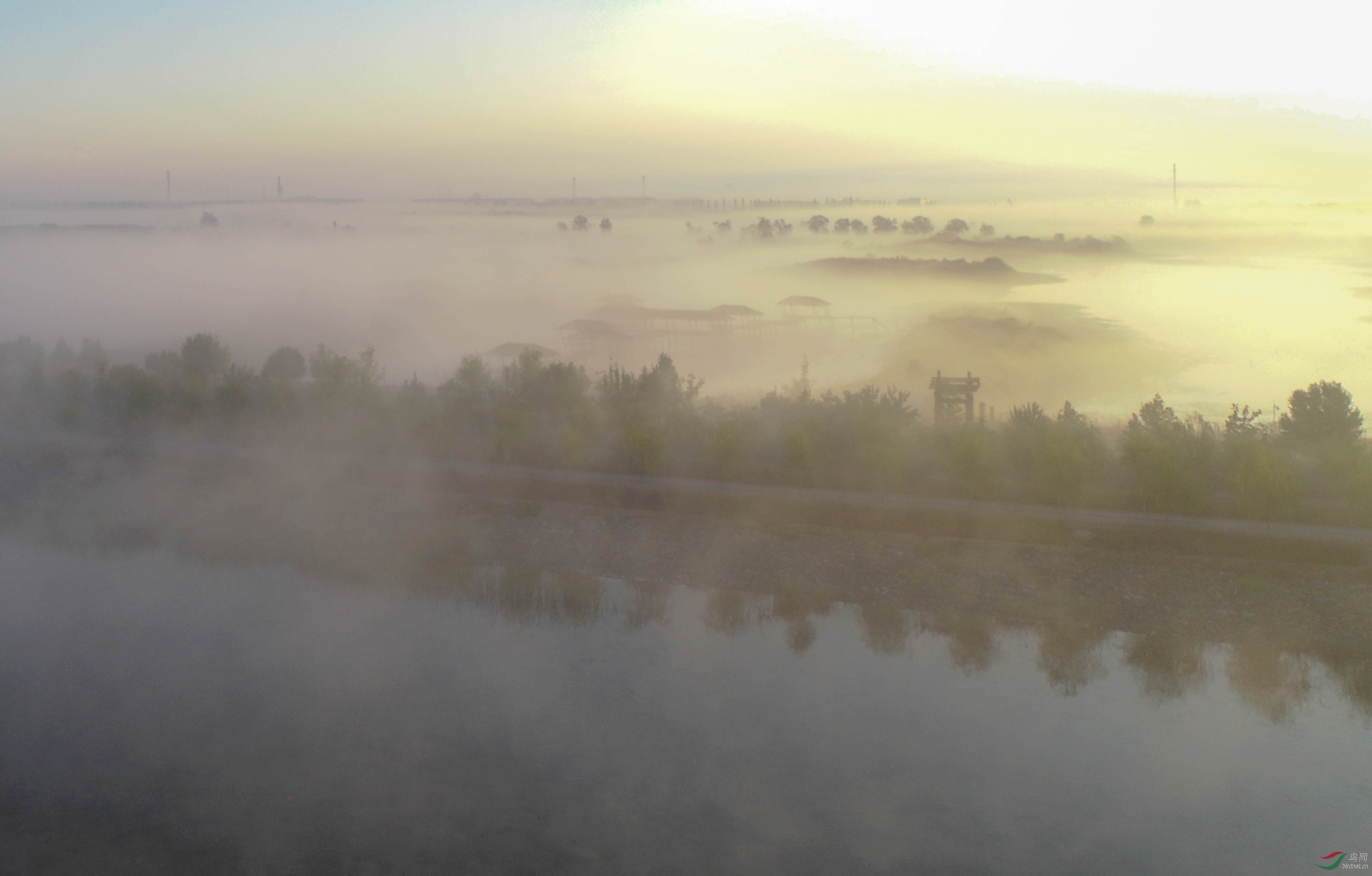 DJI_0254.JPG