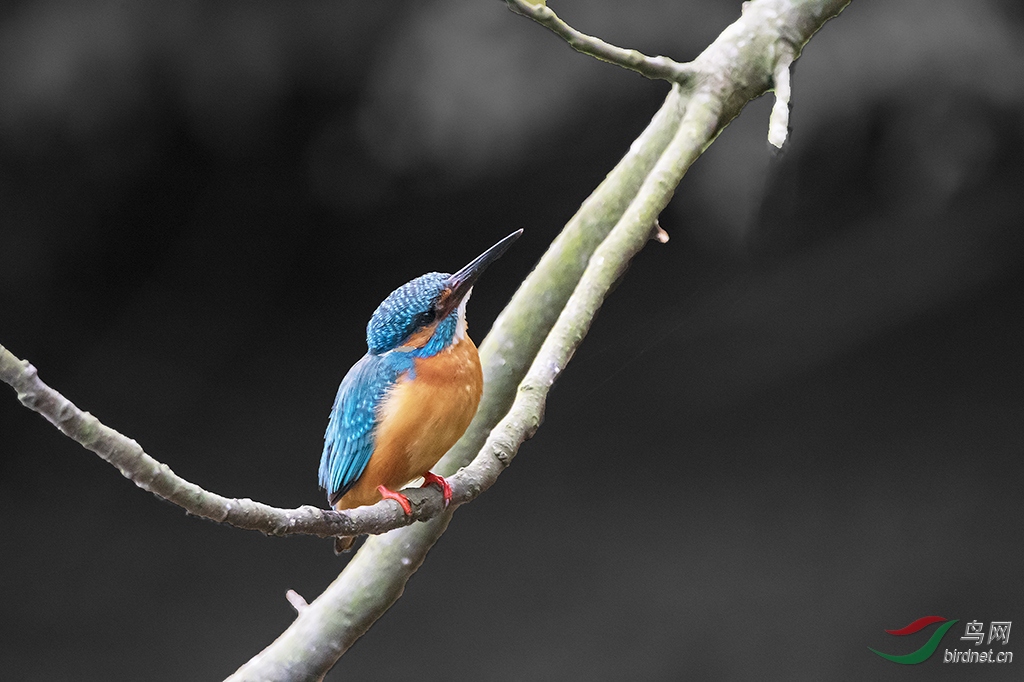 DSC_7658.jpg