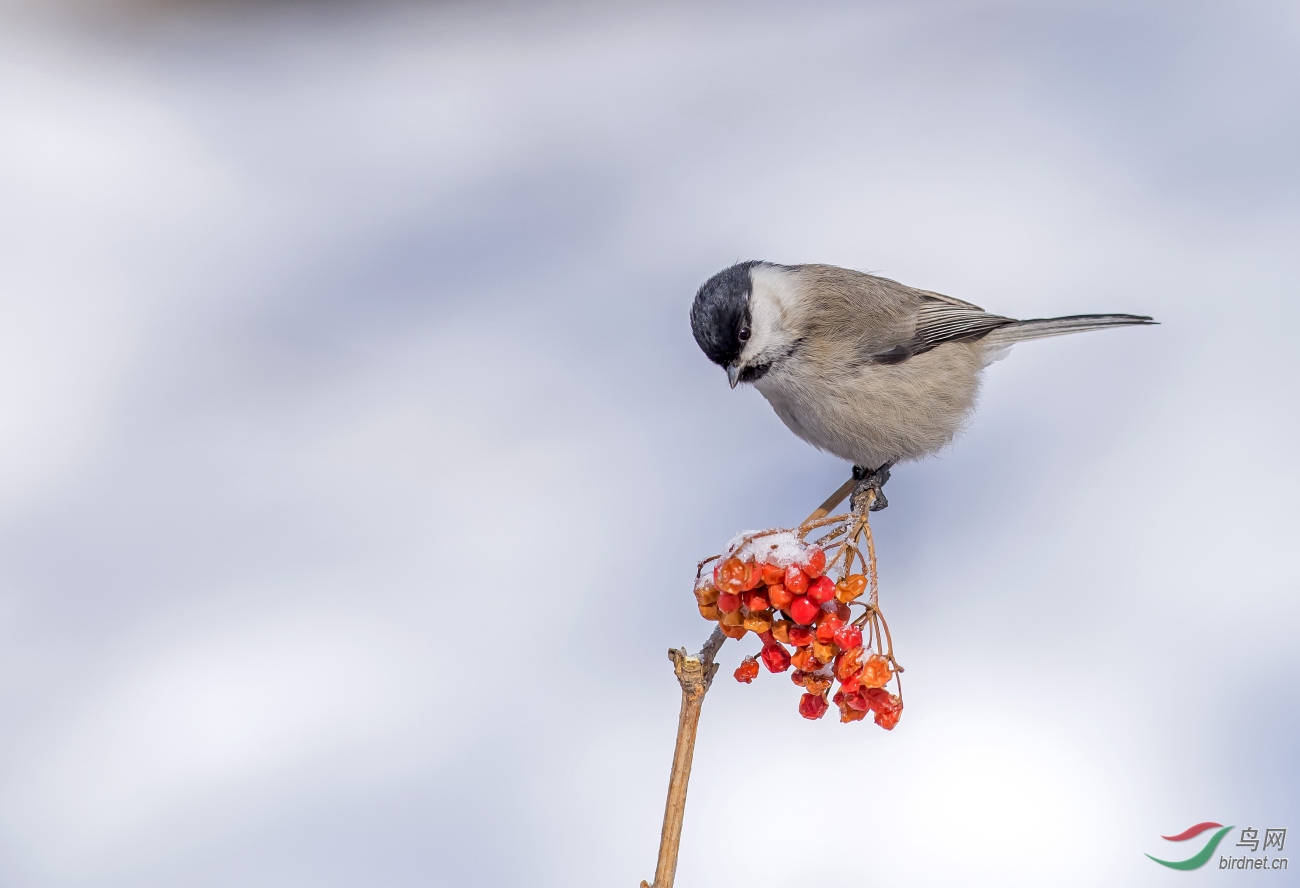 _DSC5989.jpg
