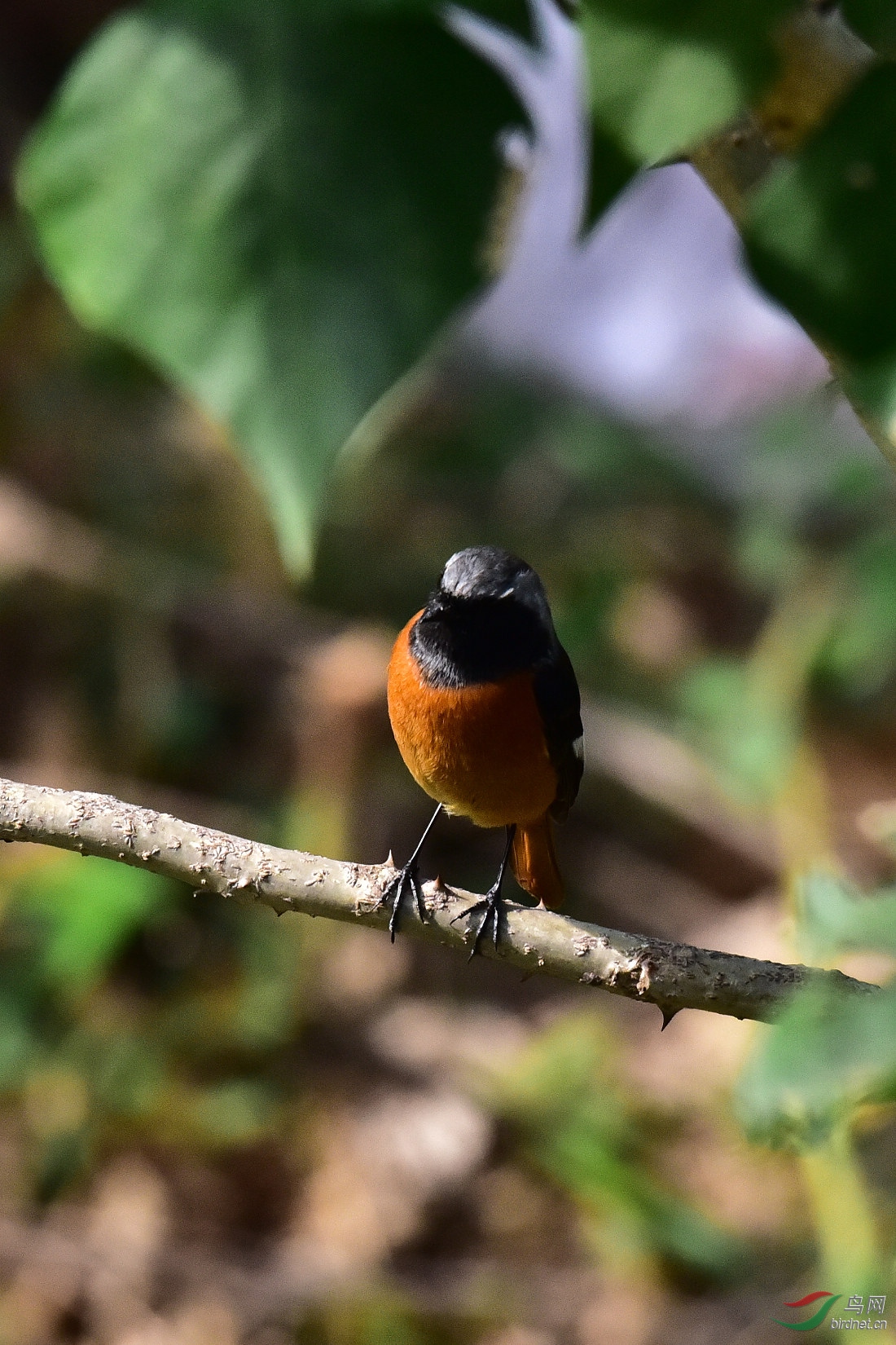 DSC_0362.JPG