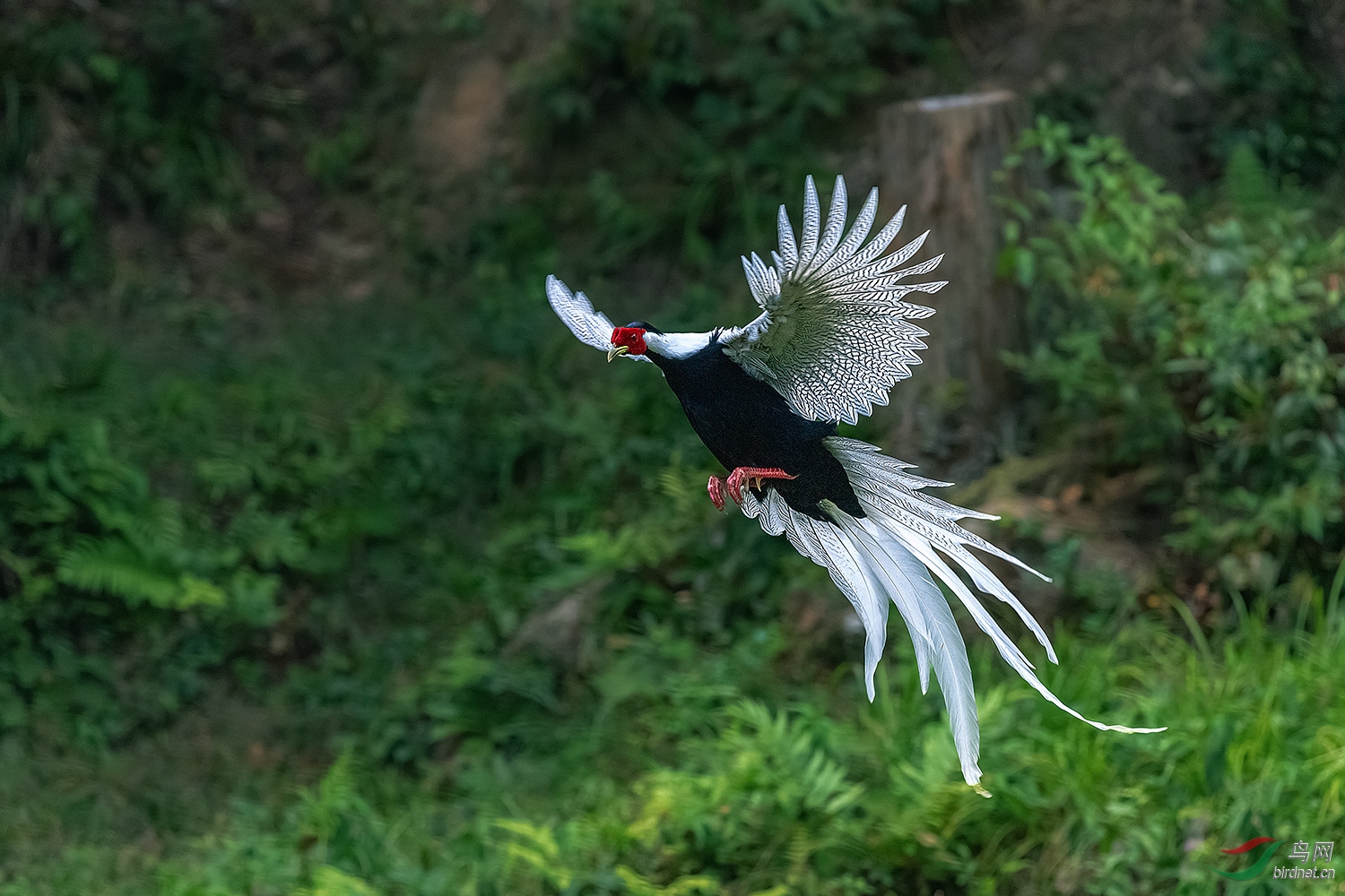 _DSC3908-2.jpg