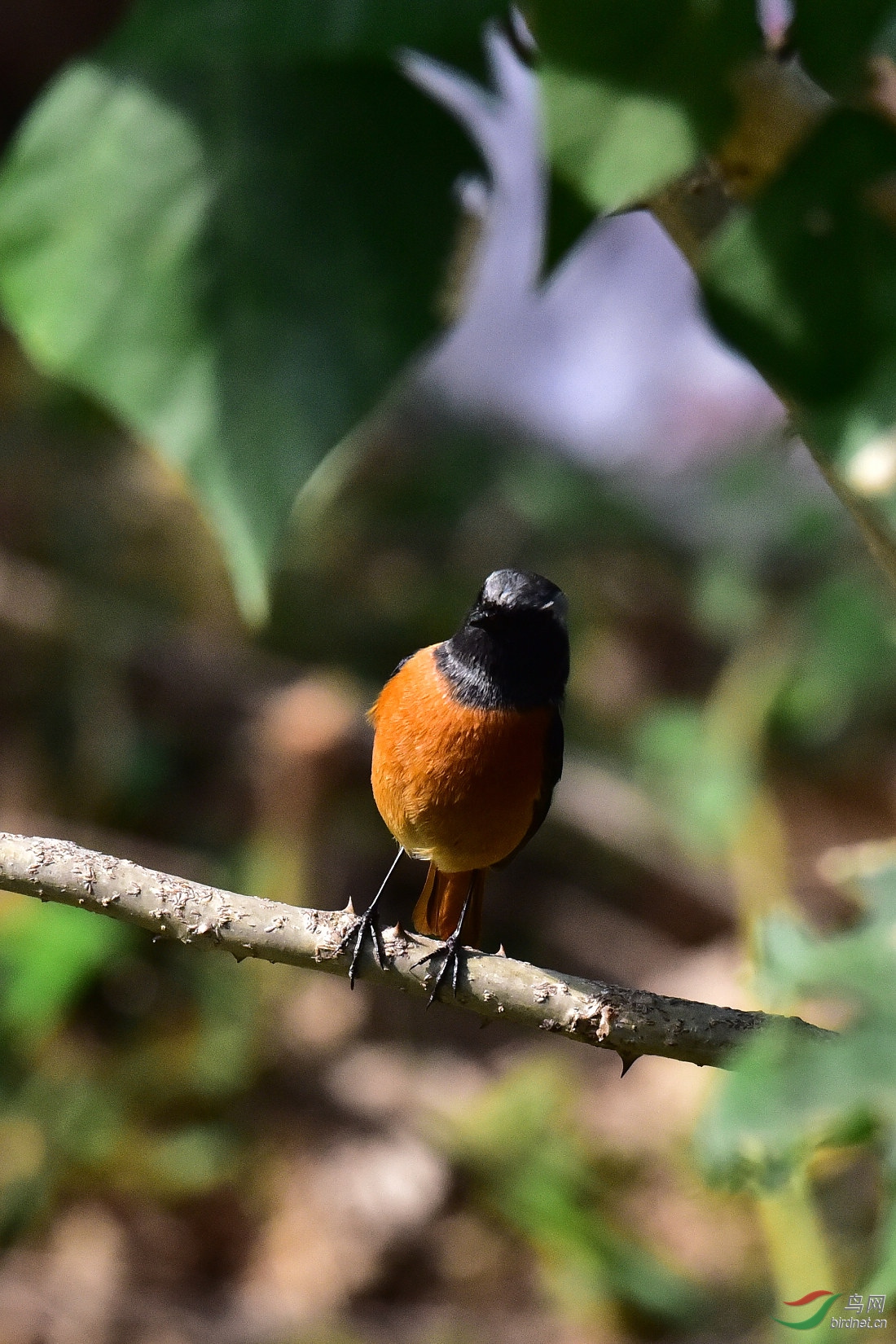 DSC_0364.JPG