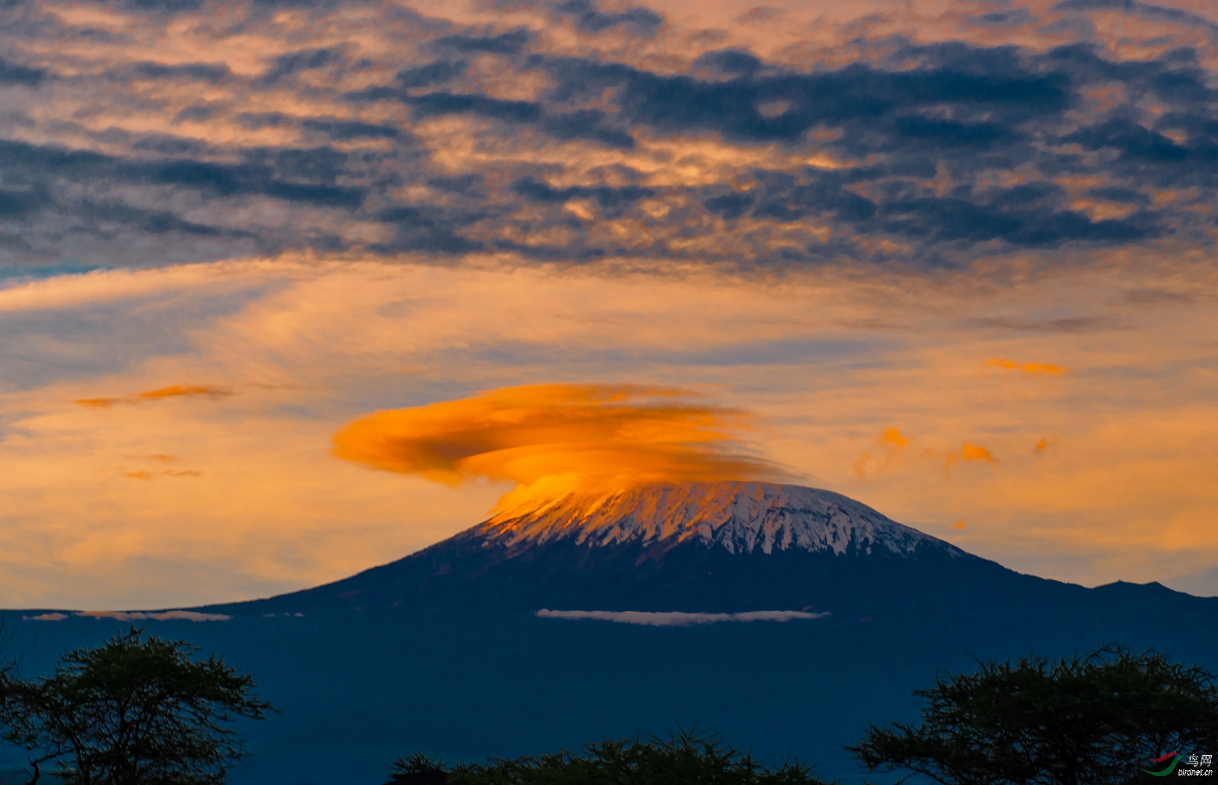 乞力马扎罗雪山顶上的祥云祝贺荣获首页综合精华