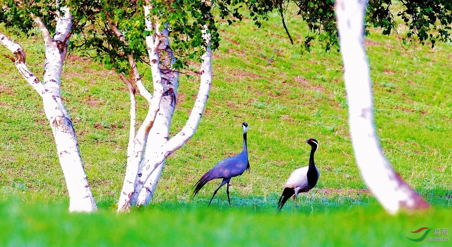 AK2Y9078_2000 1500.jpg