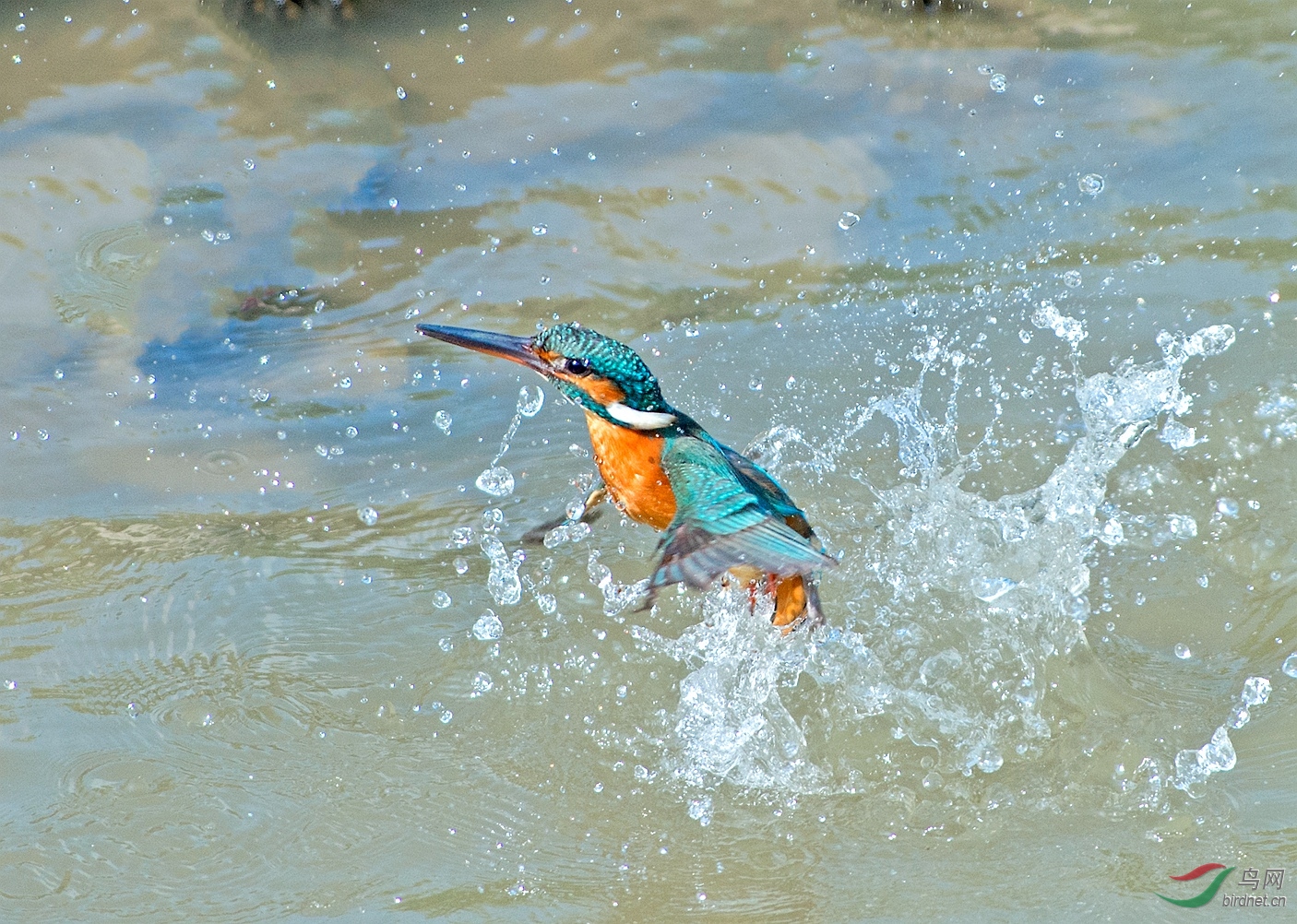 DSC_5873����_����.jpg