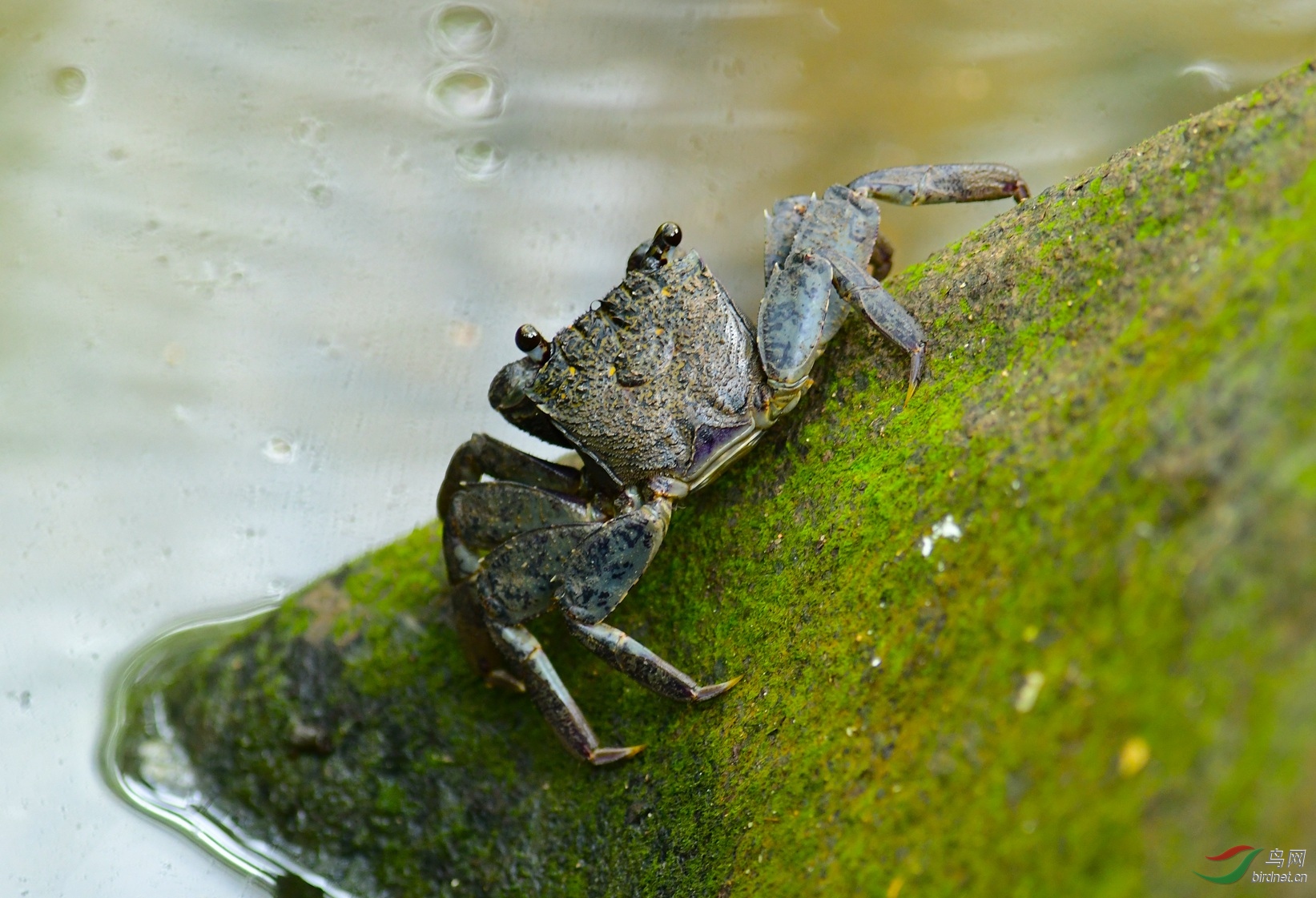 DSC_1371.JPG
