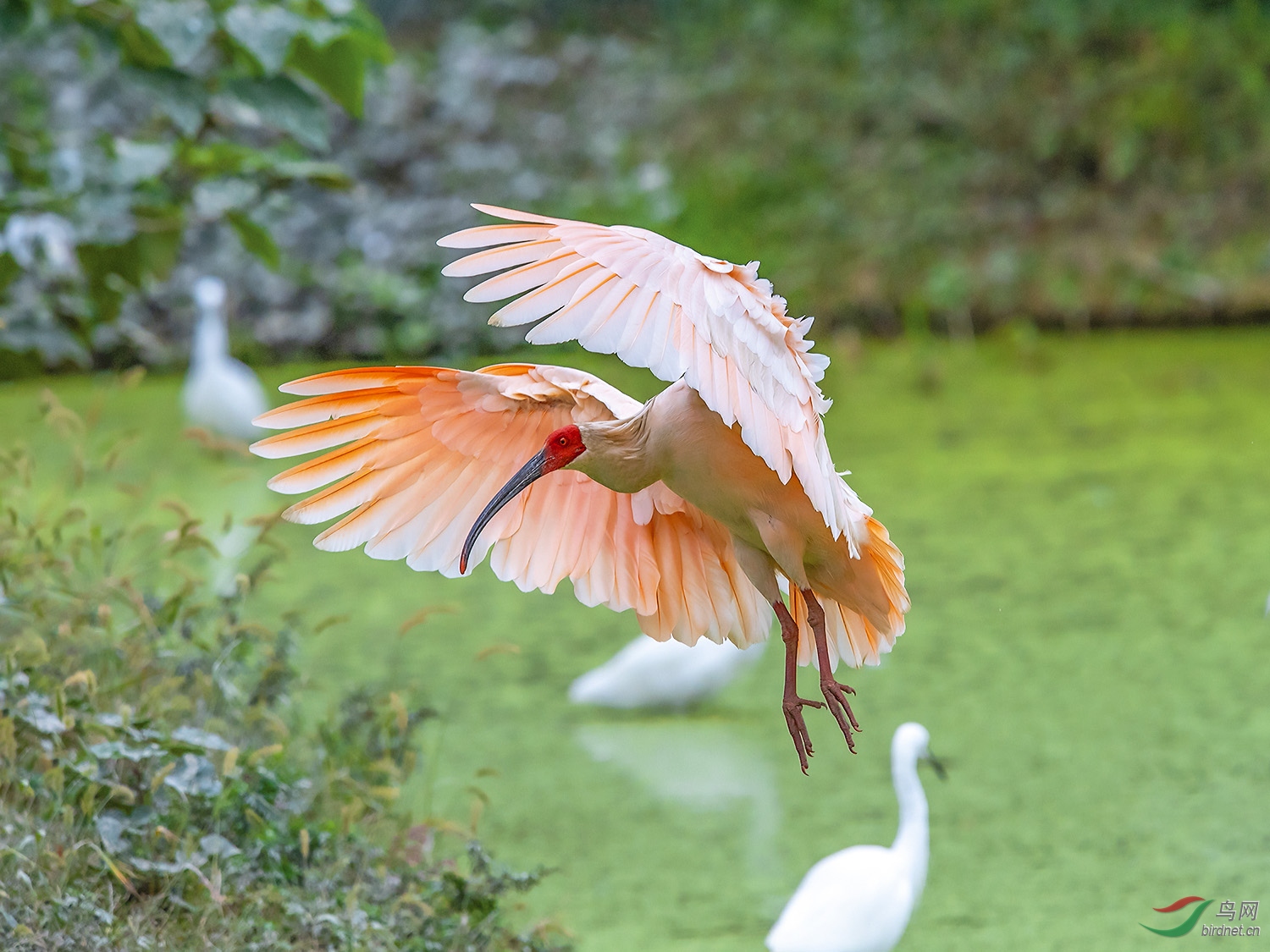 DSC_7942.jpg